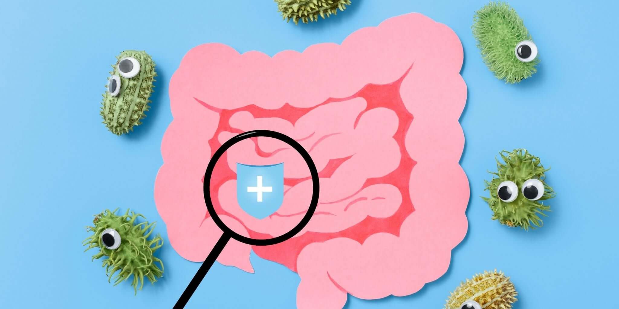 Cartoon bacteria around intestines graphic with magnifying glass symbolizing gut health and protection.