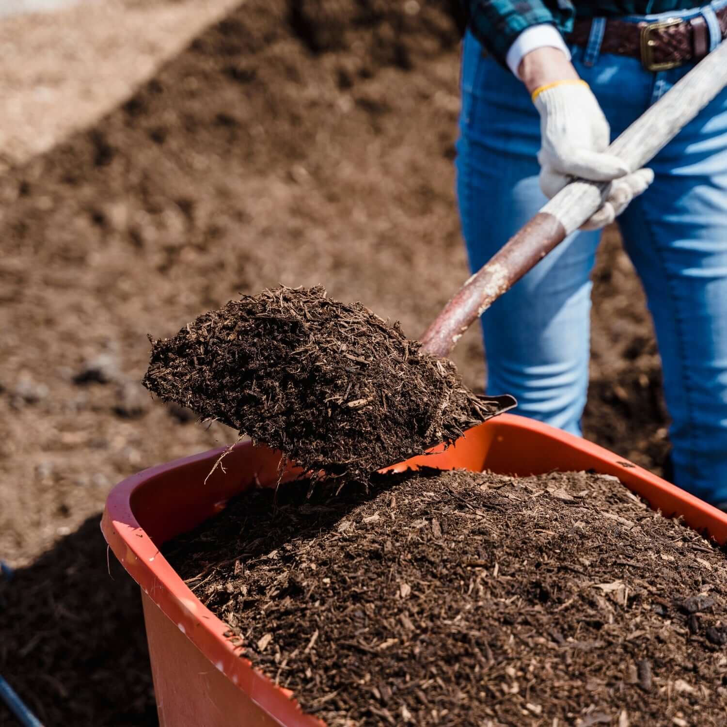 Enhancing Soil Health with Coffee Grounds: A Regenerative Farming Approach