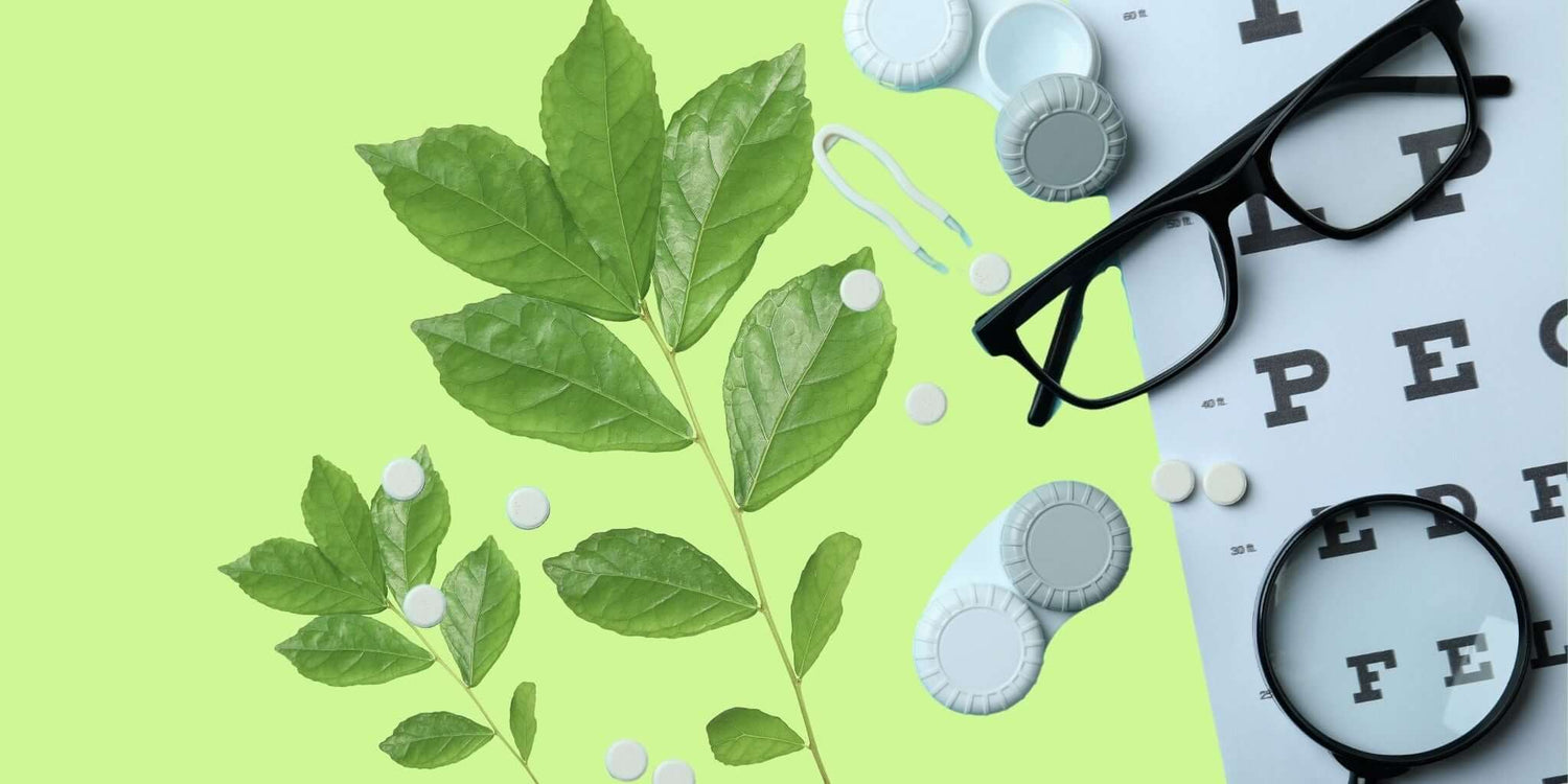 Herbs for eye health with green leaves, eyeglasses, contact lens case, eye chart, and magnifying glass, symbolizing natural support for vision and eye care.