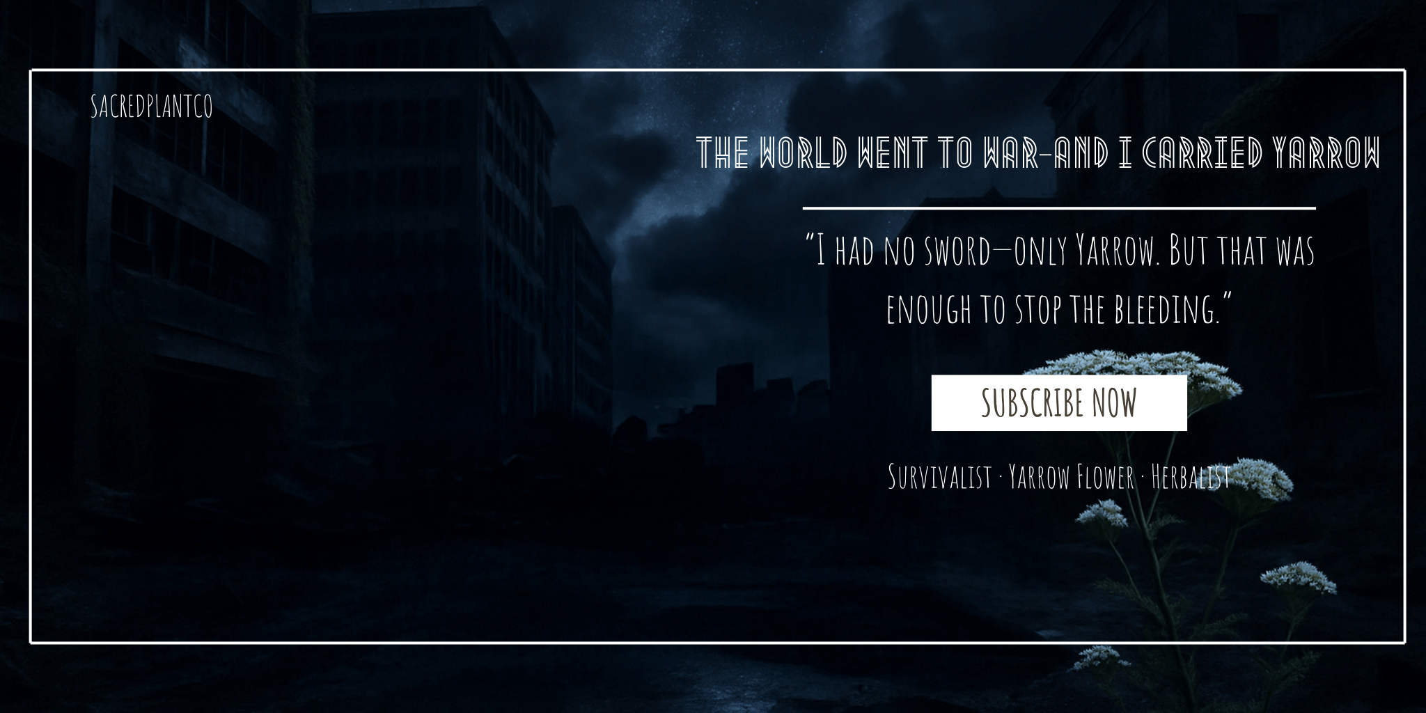 Yarrow flower glowing in an abandoned cityscape under moonlight—symbol of survivalist herbal resilience, ancient battlefield healing, and natural first aid in a post-collapse world.