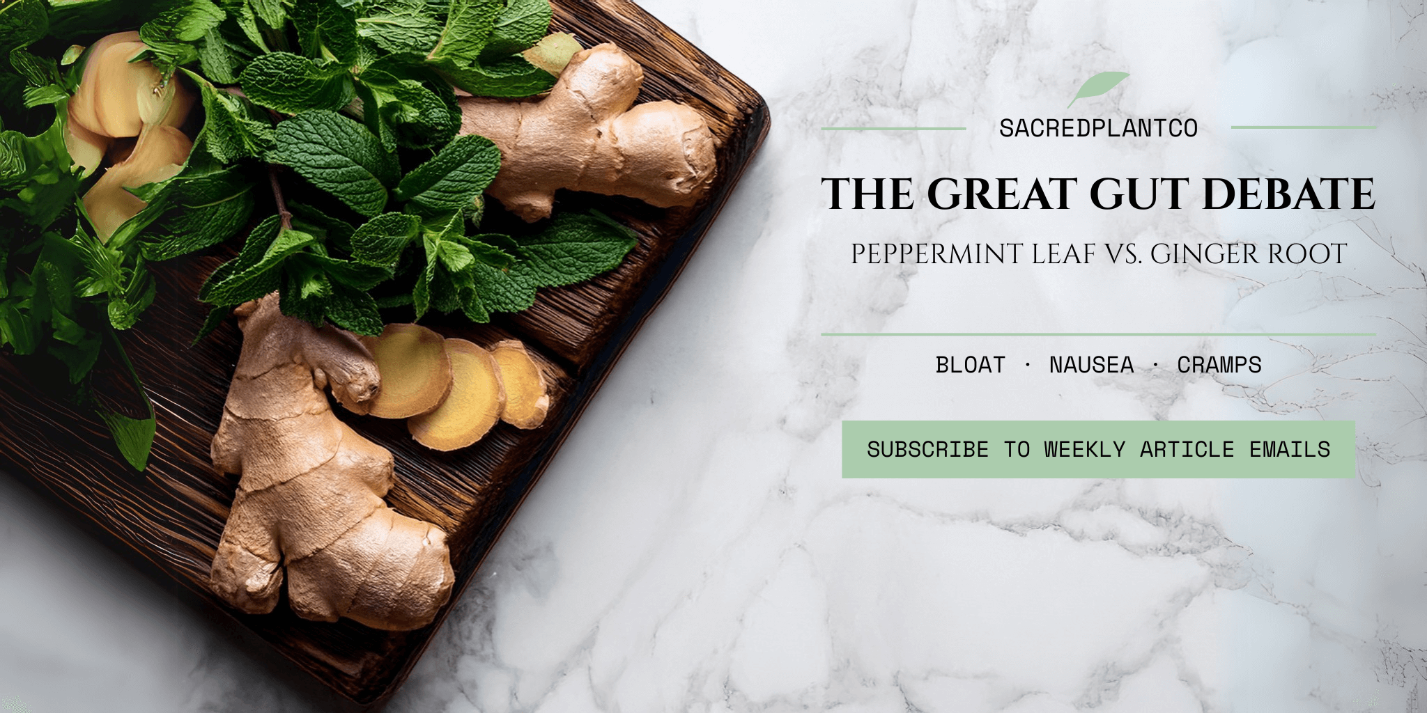 Fresh peppermint leaf and ginger root on wood and marble background, highlighting herbal support for bloat, nausea, and digestive comfort by Sacred Plant Co.
