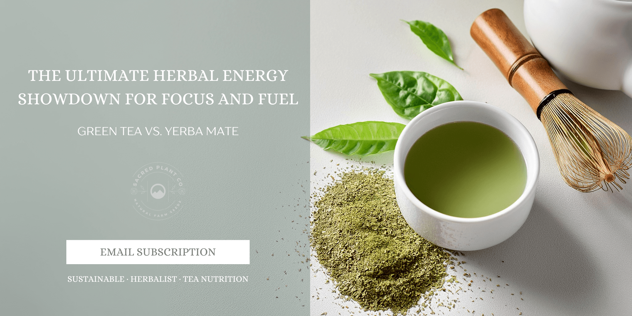 Green Tea vs Yerba Mate side-by-side comparison with vibrant powdered leaves and whisk on white background.