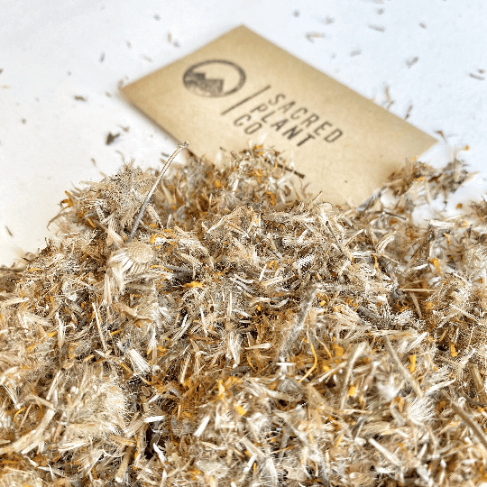 Dance with the Wolves, Heal with the Flowers: The Mystical Arnica Adventure Awaits