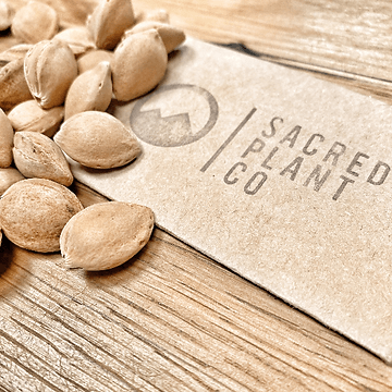 How to Grow Apricot Trees From Seed!