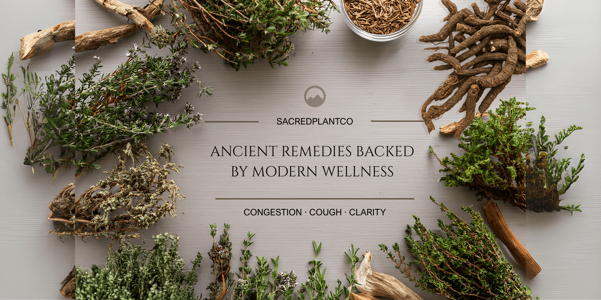 Whole dried Osha Root and fresh Thyme herbs artistically arranged in a wellness flat lay for congestion and cough relief, featuring Sacred Plant Co’s ancient herbal traditions and modern clarity blend support.