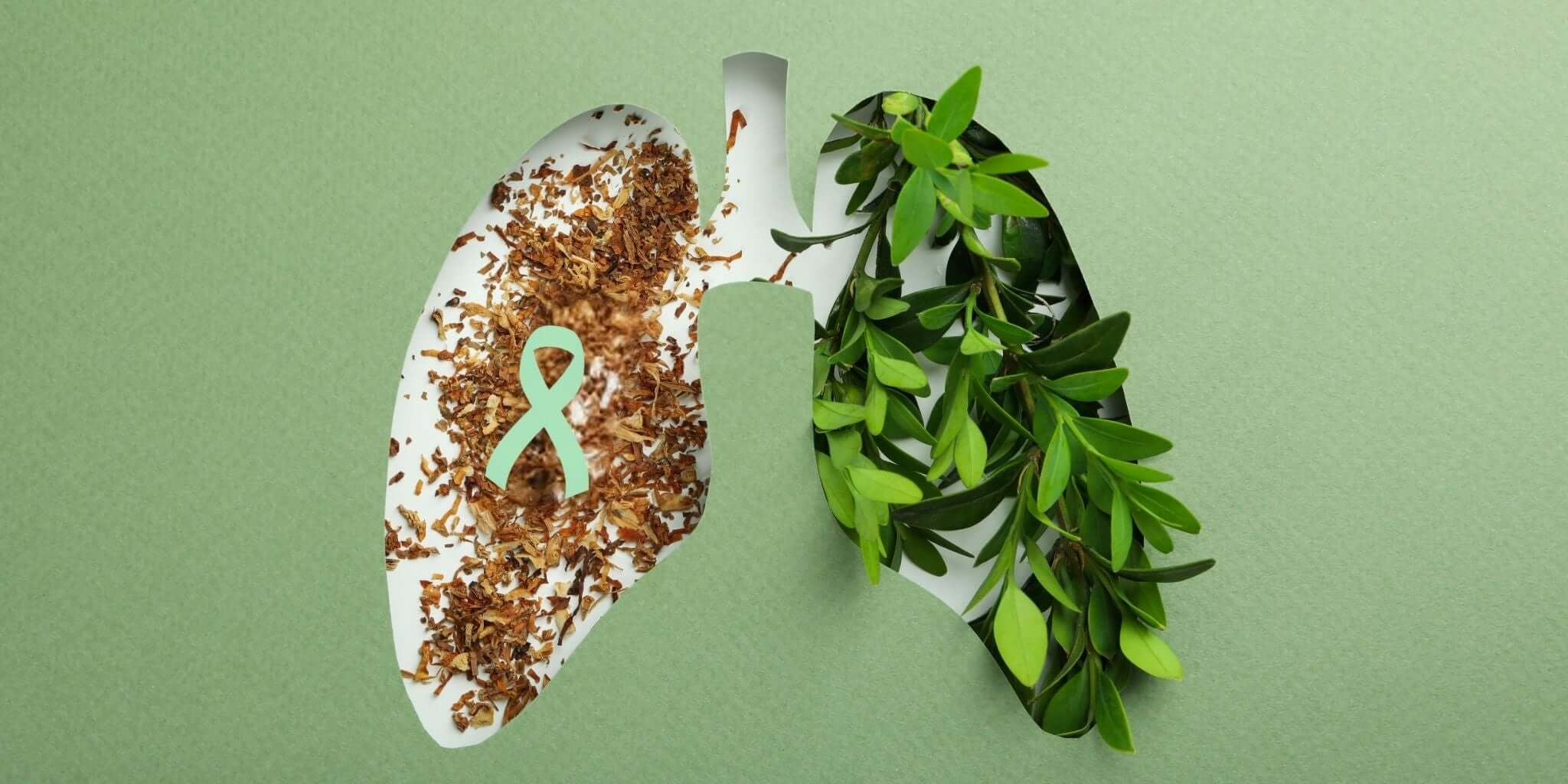 An artistic representation of lung health and respiratory wellness, featuring a lung shape divided into two halves.