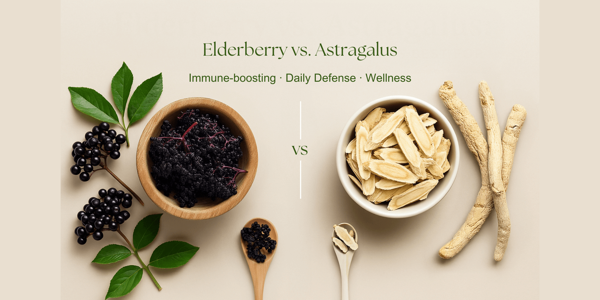 This image beautifully presents a side-by-side comparison of Elderberry vs. Astragalus, inviting viewers to explore two powerful immune-supporting herbs.