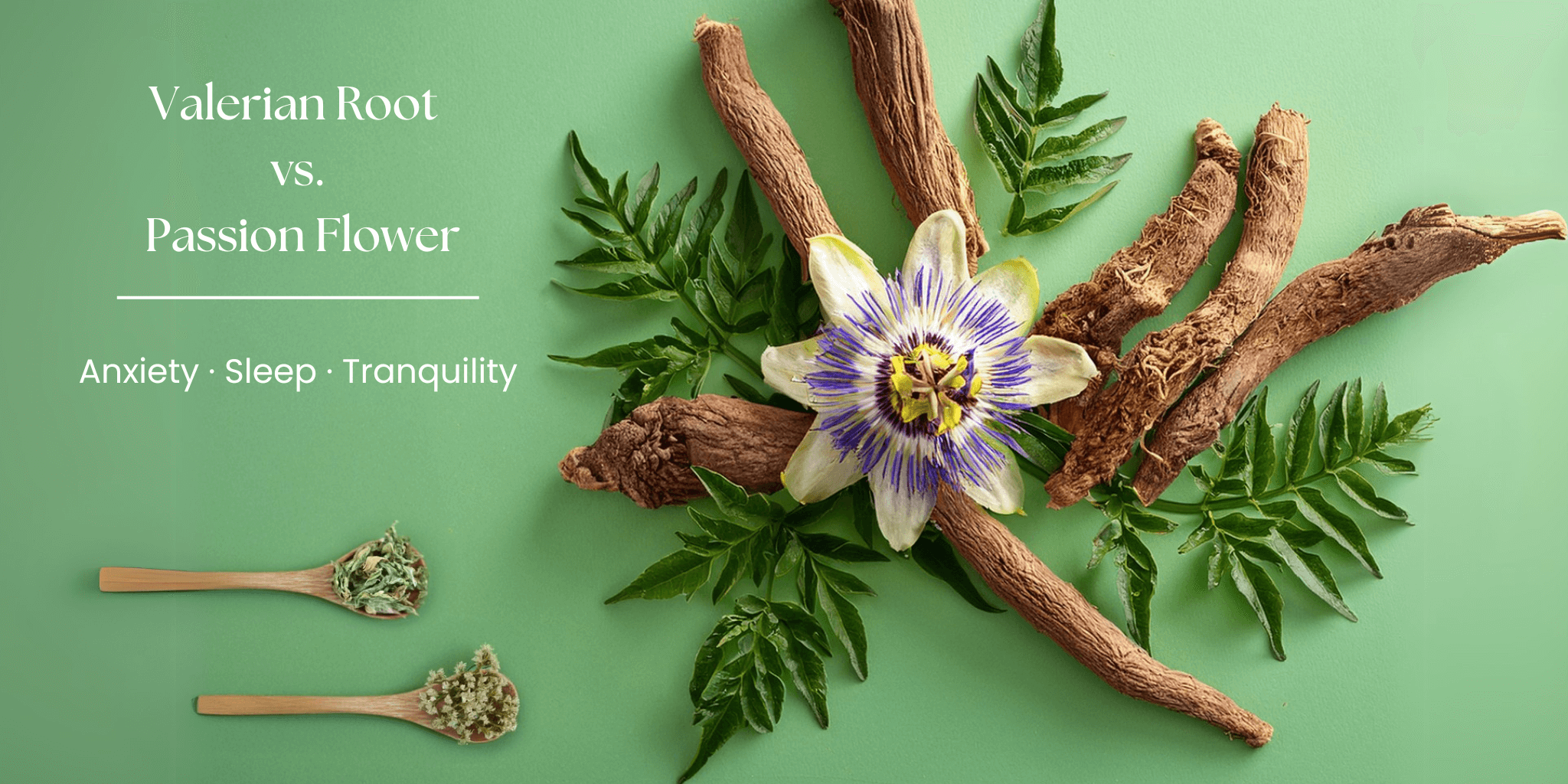 Valerian Root vs. Passion Flower visual comparison with dried roots, vibrant passion flower, and herbal spoons on a calming green background.
