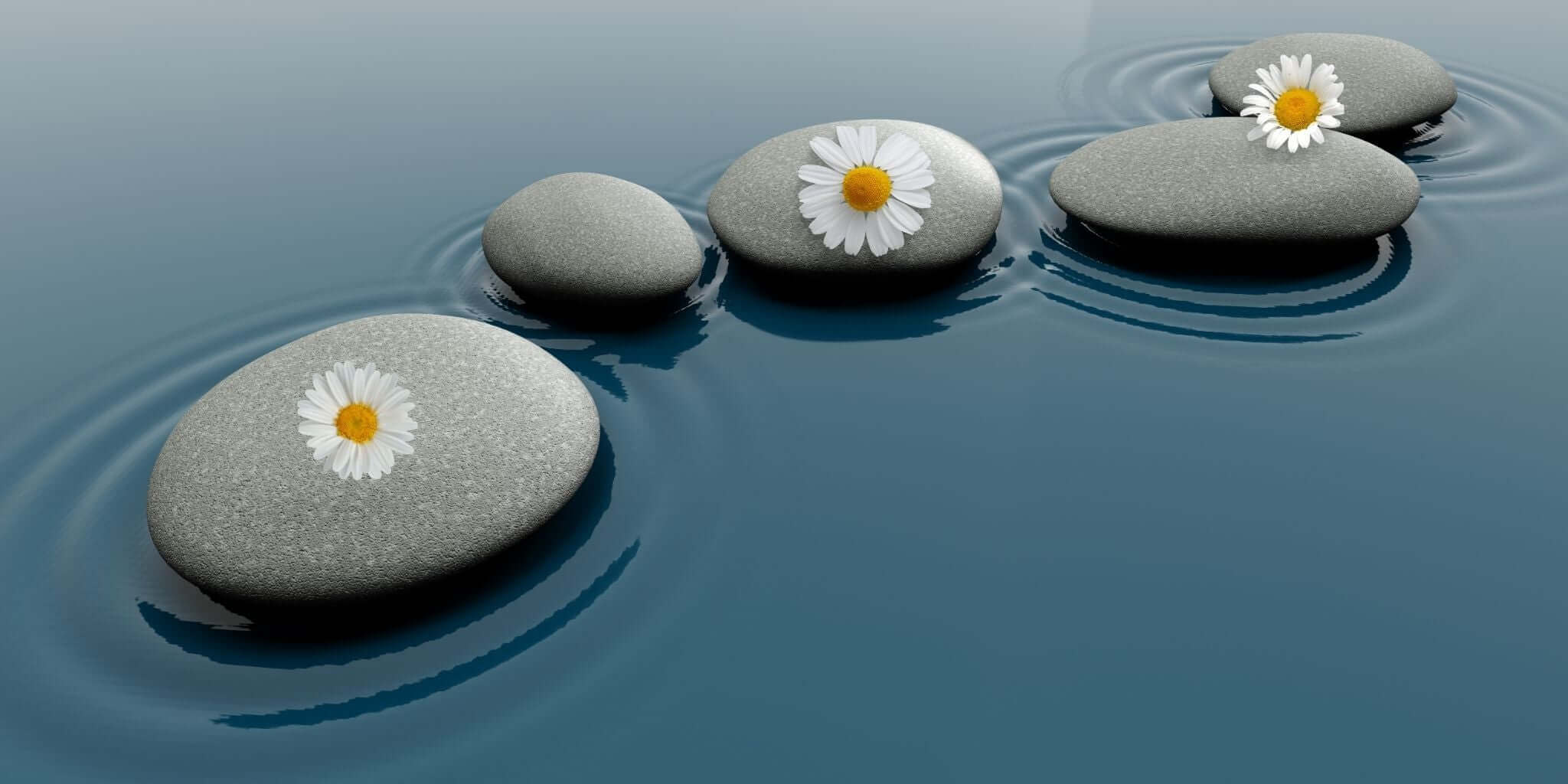 Stepping stones in calm water with chamomile flowers on top, symbolizing a natural path to calmness and better sleep through chamomile tea remedies by Sacred Plant Co.