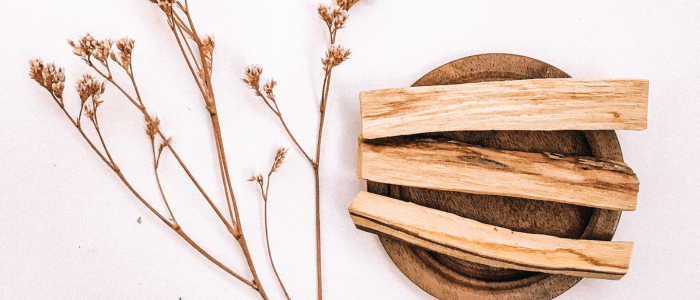 The Sacred Importance of Palo Santo