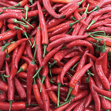 How to Grow Red Chili Hot Pepper Seeds From Seeds