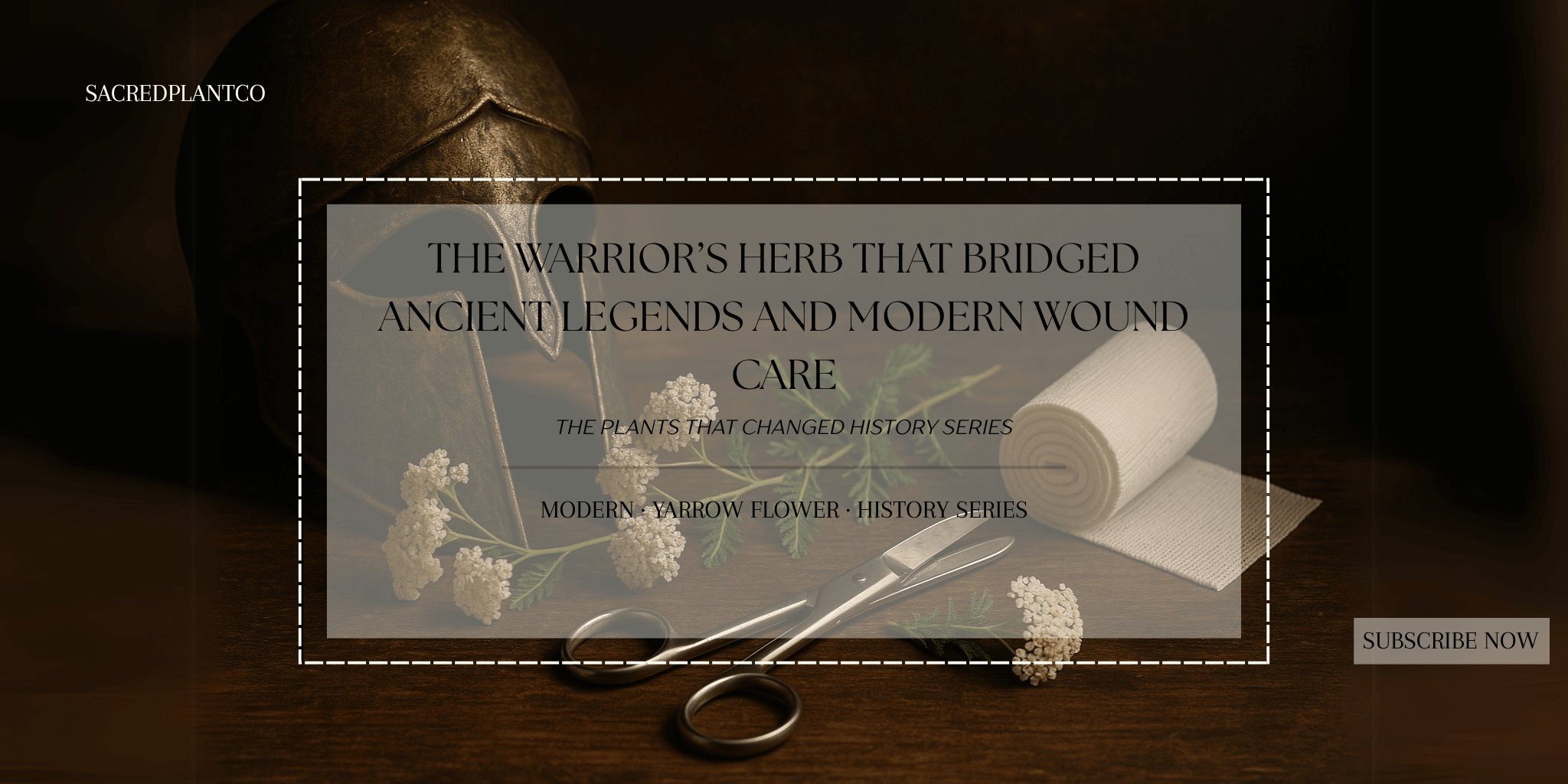 Yarrow flower main image with ancient Greek helmet, bandage roll, and scissors — symbolizing yarrow’s legendary healing power.