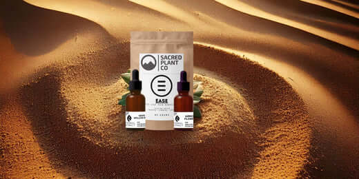 Sacred Plant Co pain relief products displayed in a serene desert setting