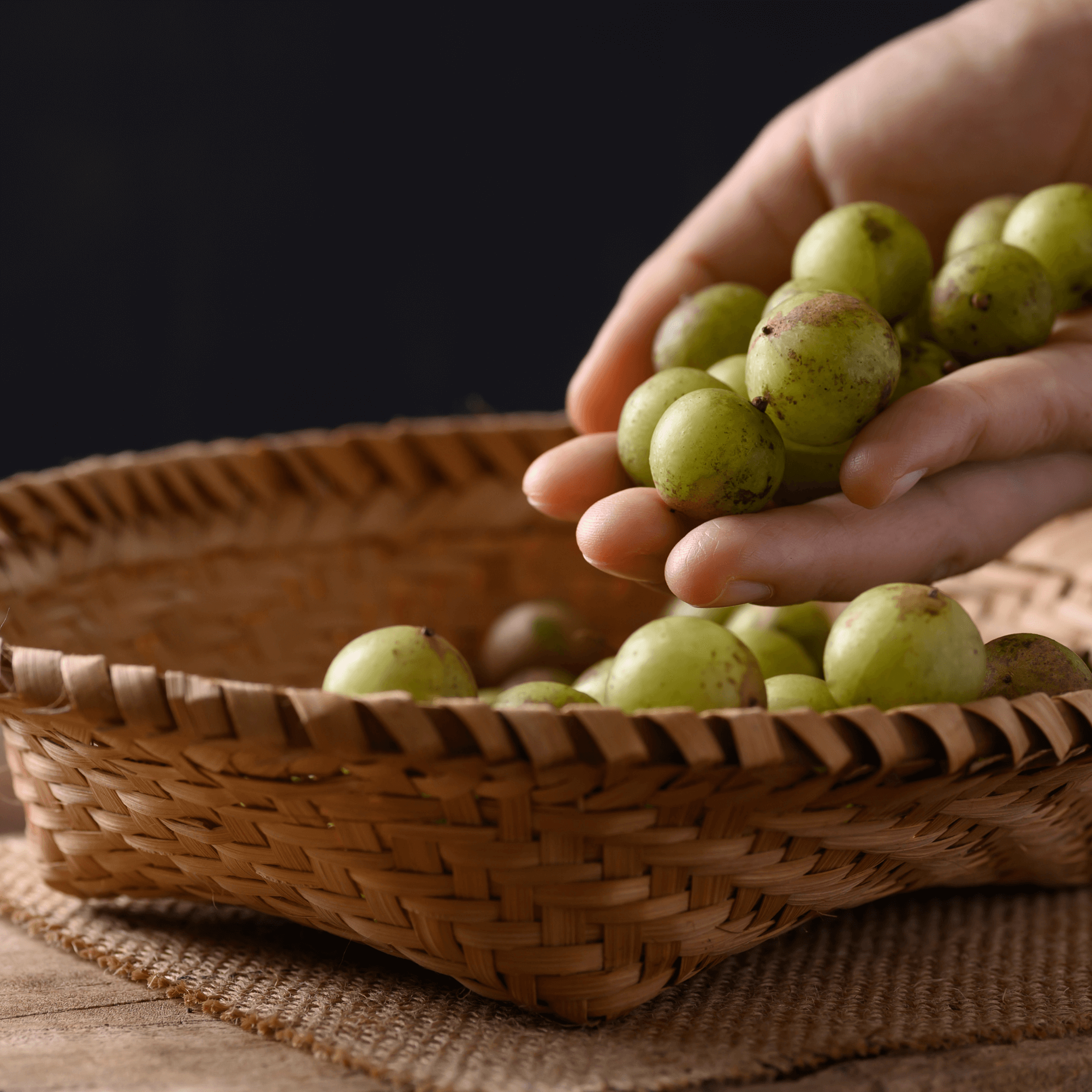 Harnessing the Power of Amla: Sadhguru's Insights and Sacred Plant Co's Amla Powder