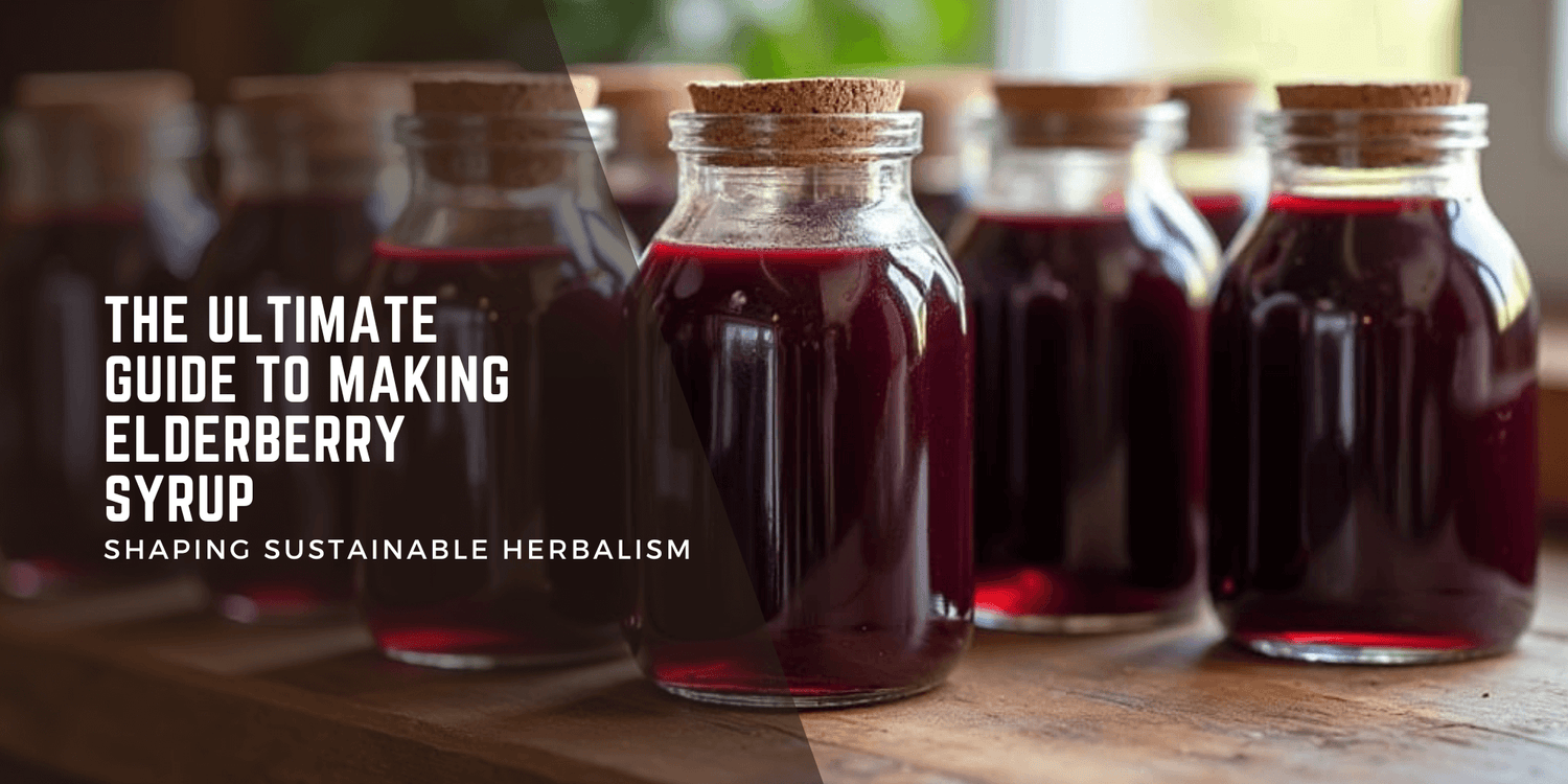 Glass jars of deep-purple elderberry syrup with cork lids on a rustic wood countertop. Rich color highlights its immune-boosting benefits.