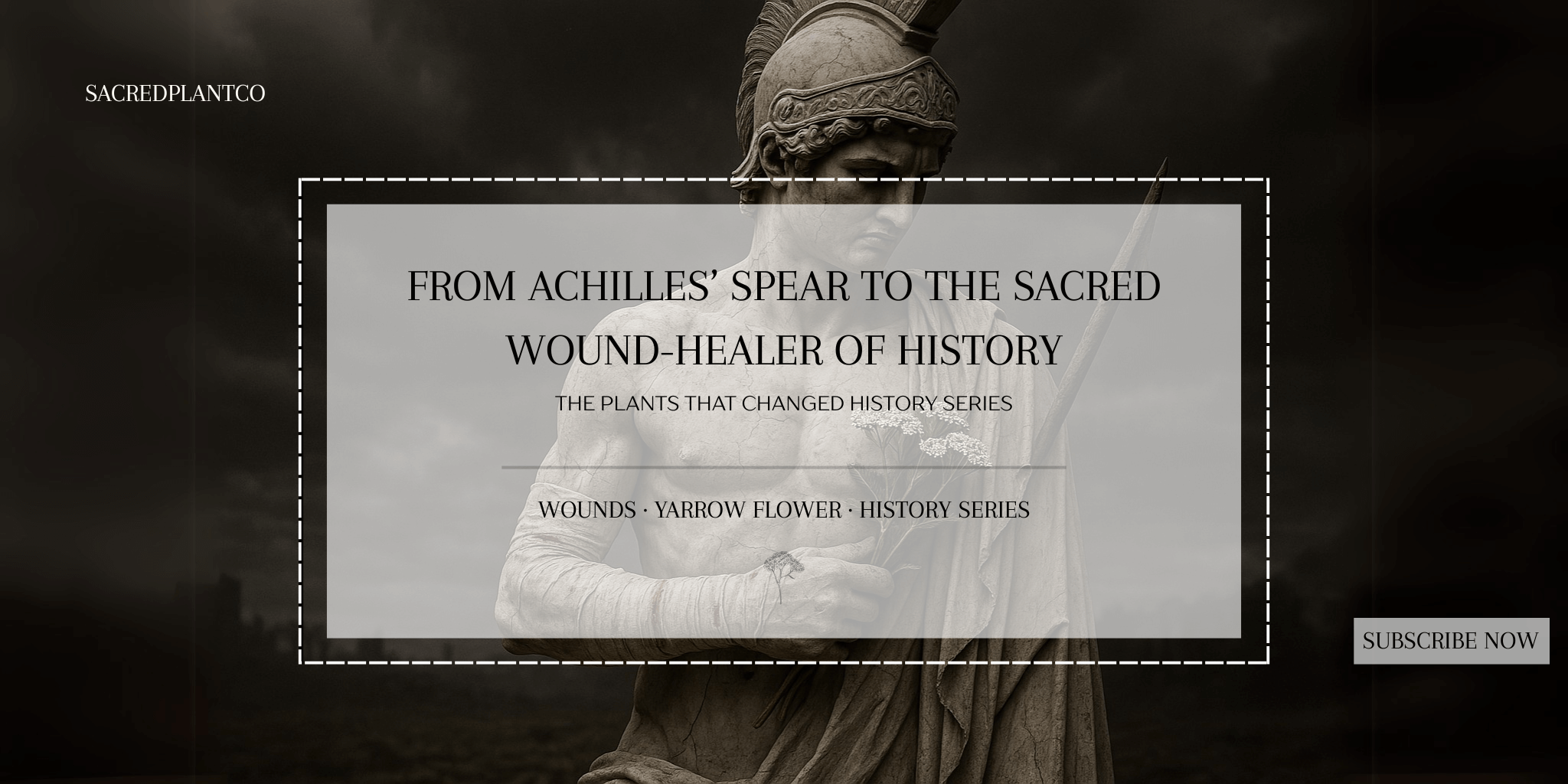 From Achilles’ Spear to the Sacred Wound-Healer of History banner featuring a classical statue of Achilles holding blooming Yarrow flowers under stormy skies.