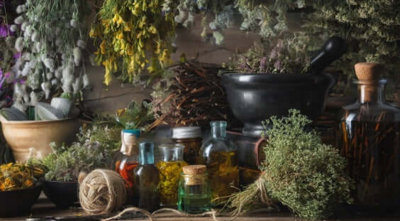 European Cottage full of tradional european herbs