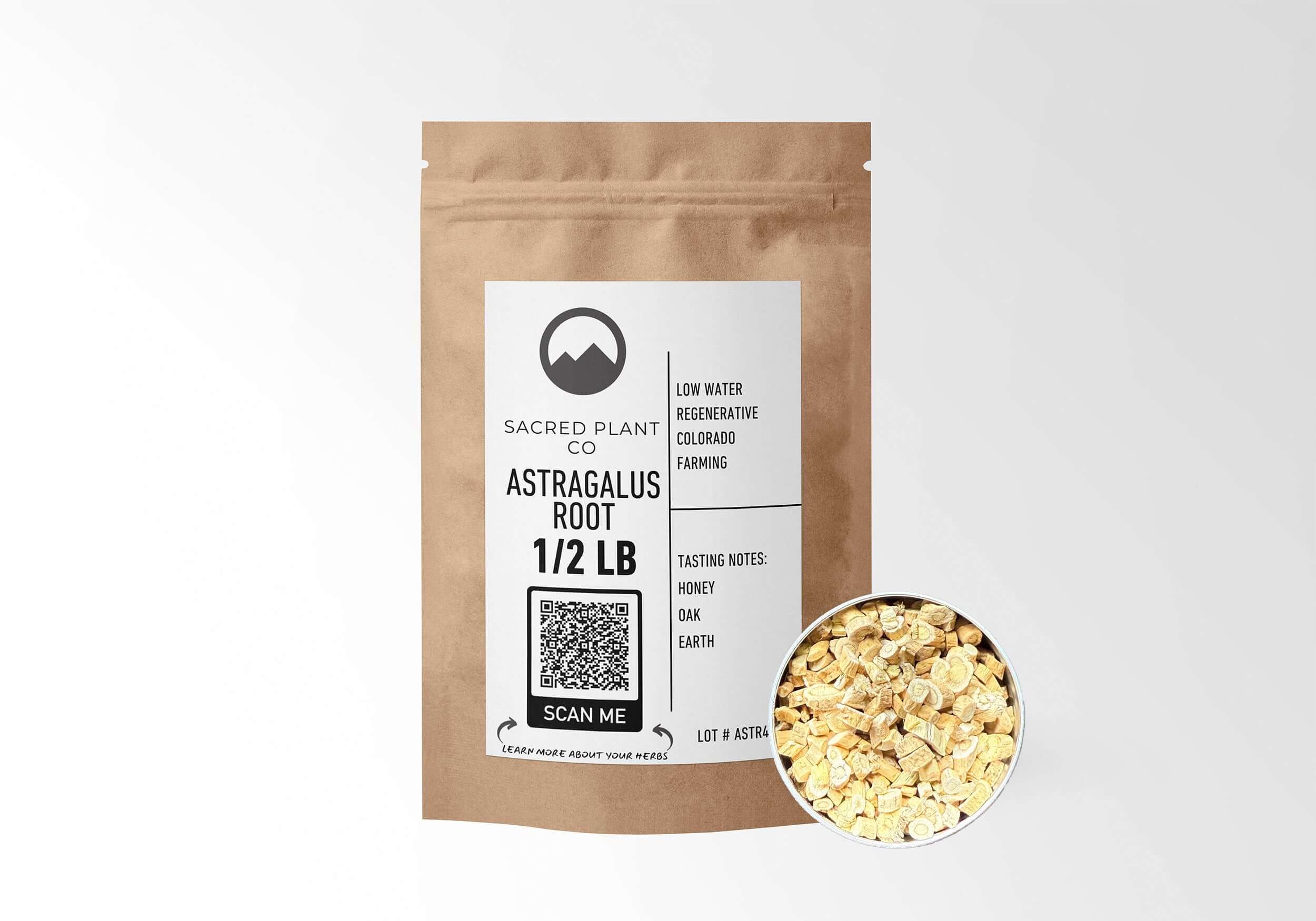 Sacred Plant Co Astragalus Root 1/2 LB kraft paper packaging with root sample in silver tin showcasing sustainably sourced astragalus root for immune support and adaptogenic benefits.