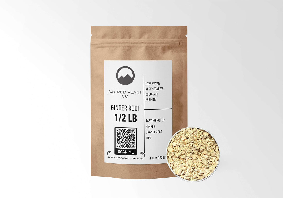 Sacred Plant Co Ginger Root 1/2 LB kraft paper packaging with Ginger Root sample in silver tin showcasing sustainably sourced ginger root for digestive health and anti-inflammatory benefits.