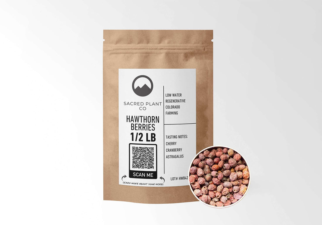 Sacred Plant Co Hawthorn Berries 1/2 LB kraft paper packaging with berry sample in silver tin showcasing sustainably harvested hawthorn berries for cardiovascular health and antioxidant benefits.