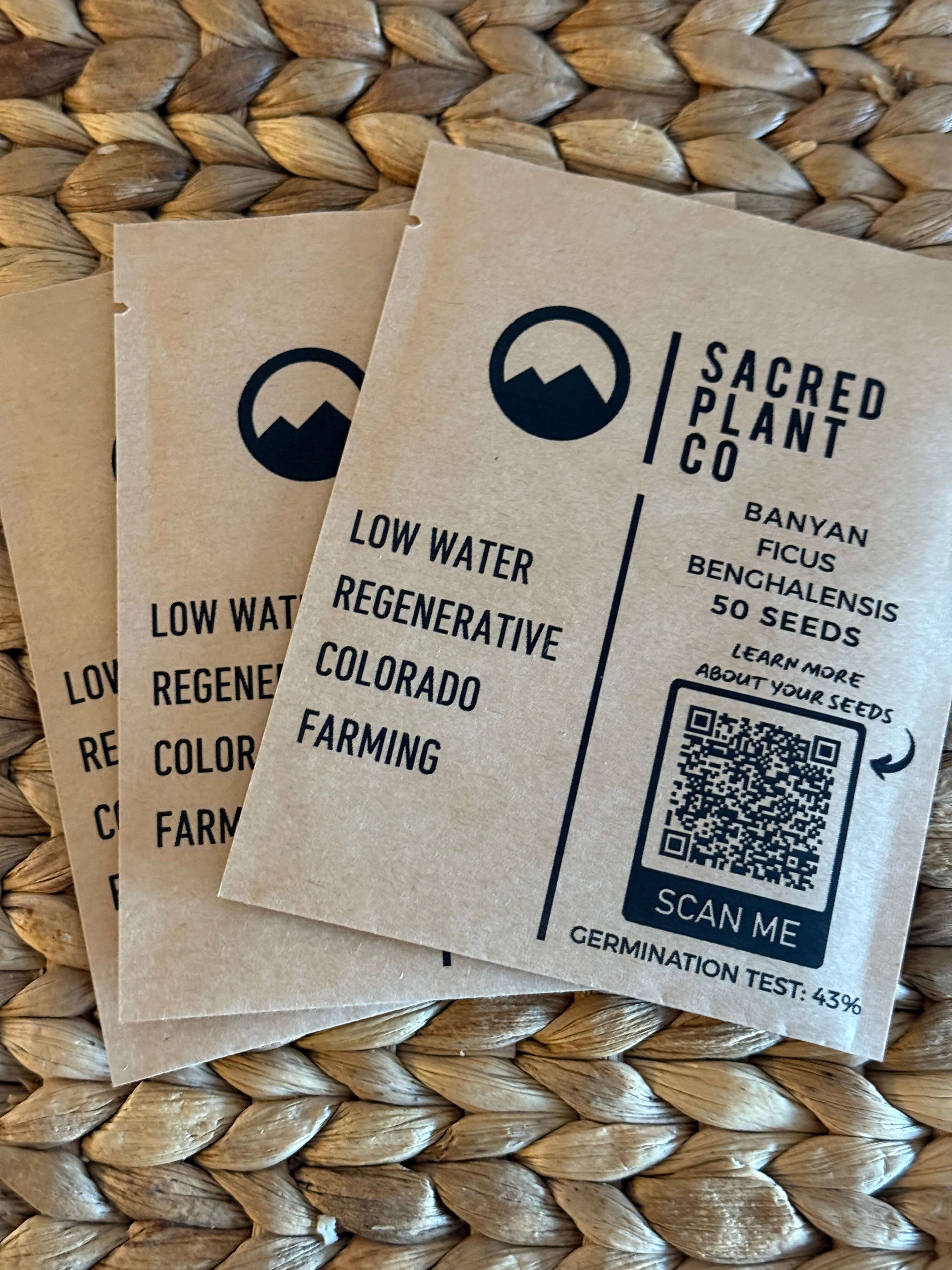 Banyan Tree Seeds (Ficus benghalensis) | Sacred Plant Co