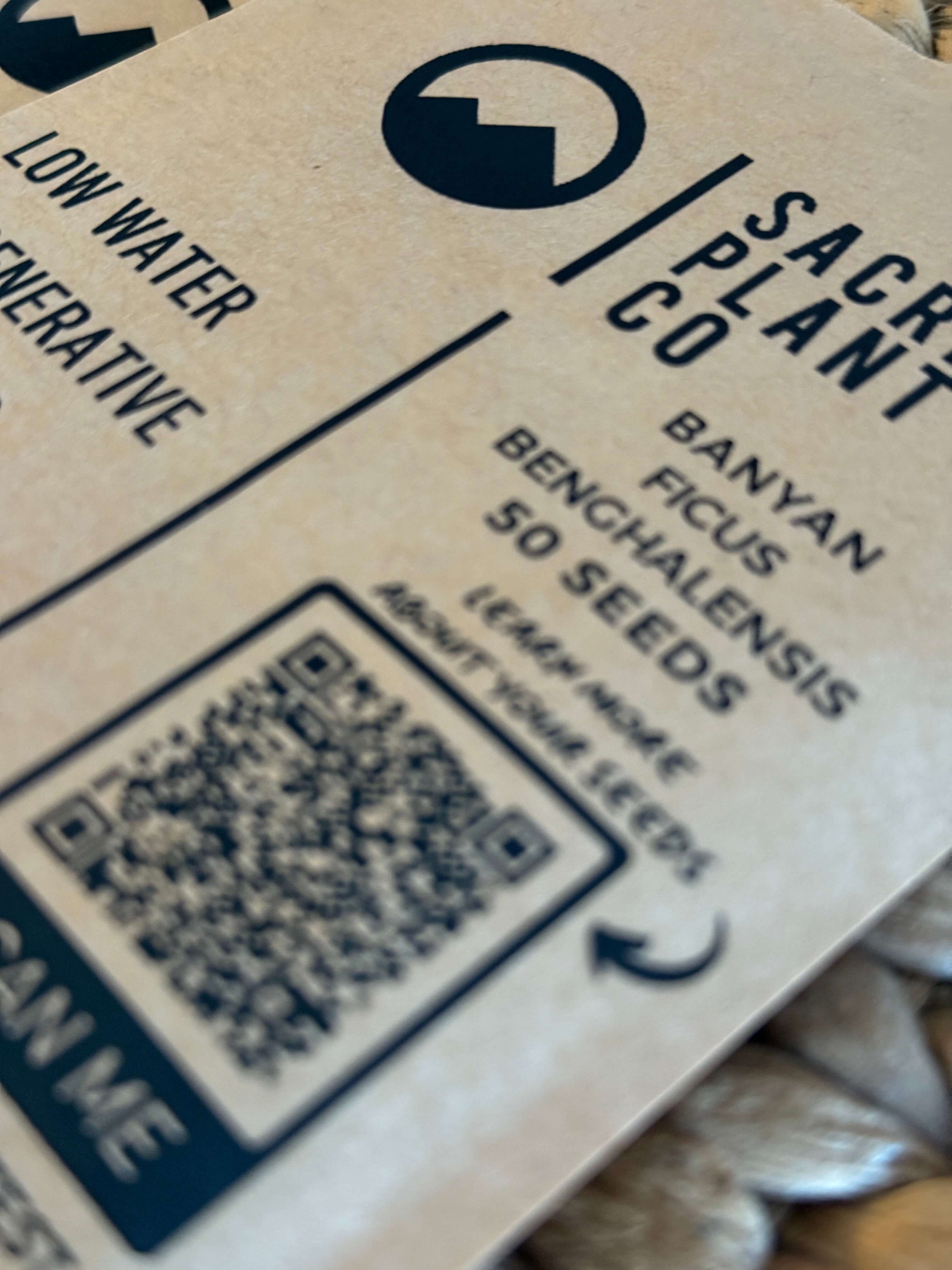 Banyan Tree Seeds (Ficus benghalensis) | Sacred Plant Co
