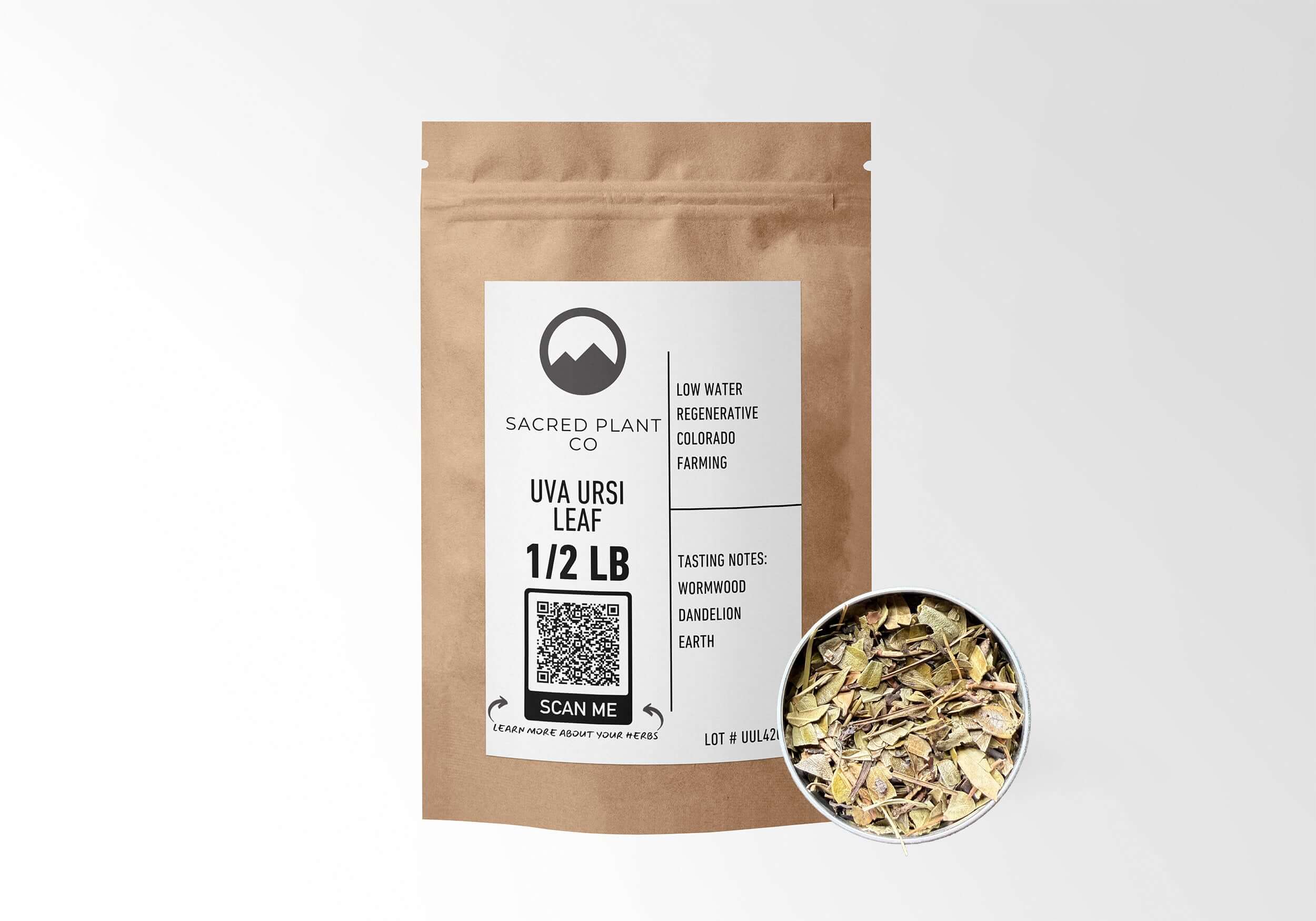 Sacred Plant Co Uva Ursi Leaf 1/2 LB in eco-friendly kraft paper packaging, sample in a silver tin, traditionally used for urinary tract health and kidney support.