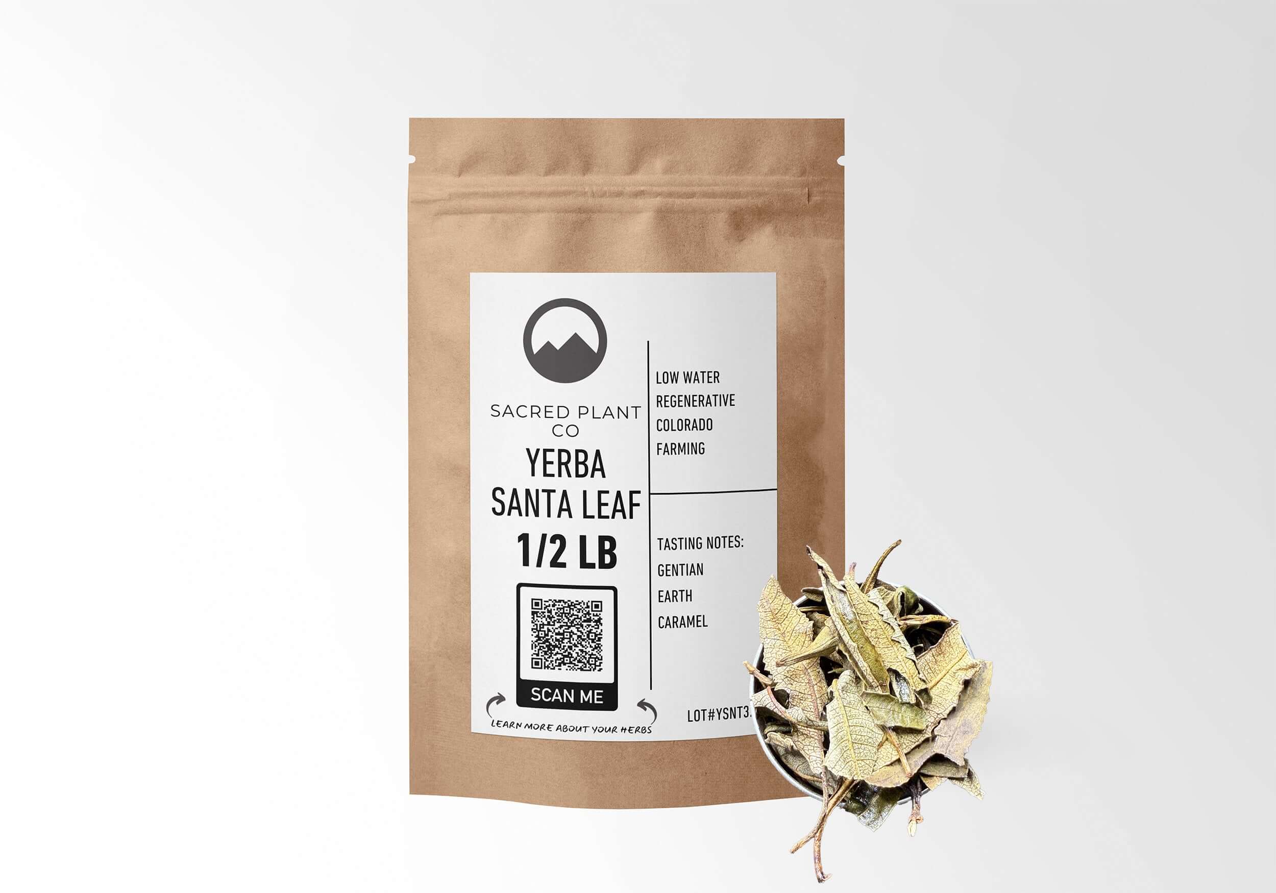 Sacred Plant Co Yerba Santa Leaf 1/2 LB in eco-friendly kraft paper packaging, with a sample in a silver tin showcasing the leaf&