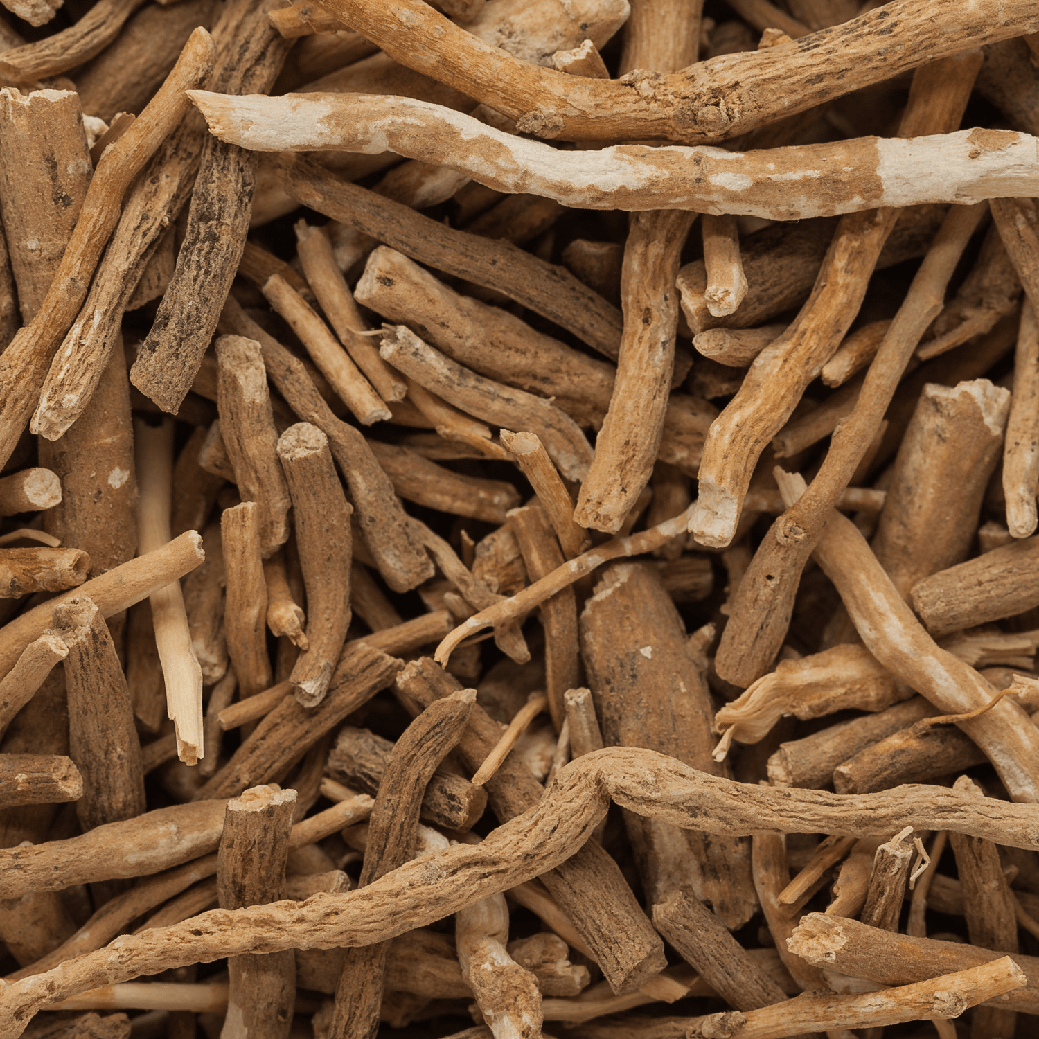 Ashwagandha Roots with rugged texture, light brown color, from Sacred Plant Co, perfect for natural health remedies.