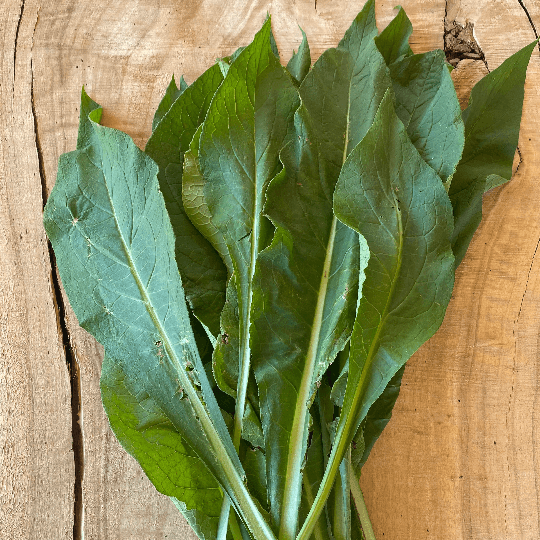 Fresh, green Comfrey Leaves displayed on a rustic wooden background. Premium quality, farm-grown herb from Sacred Plant Co.