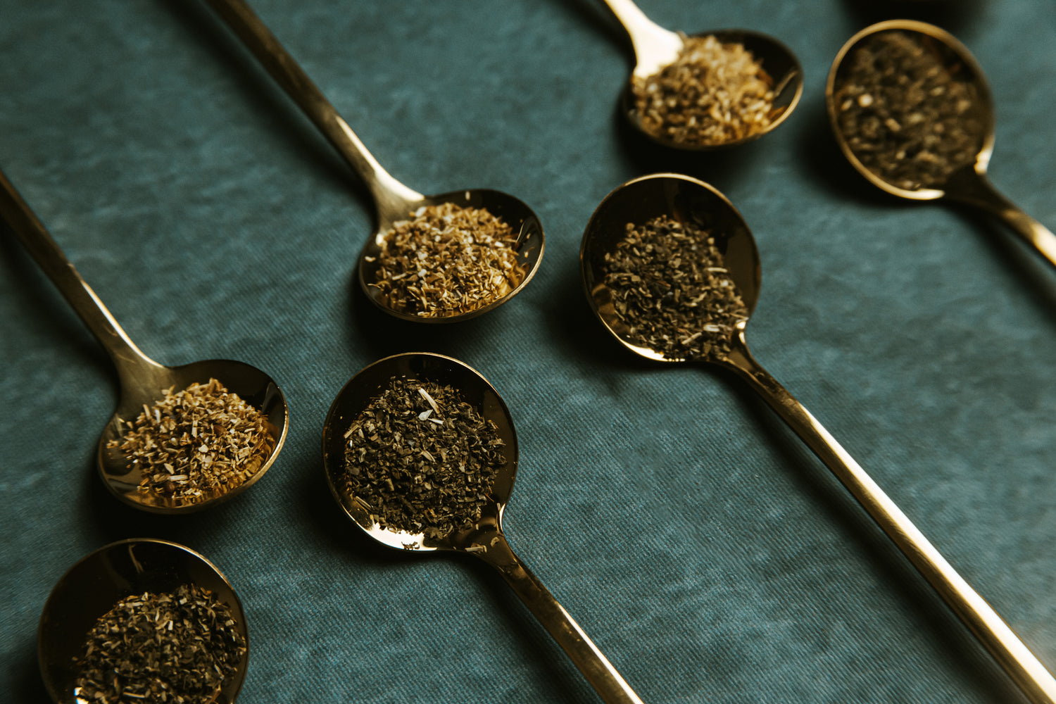 Assorted spoons with a variety of vibrant dried herbs, representing the diverse selection available for wholesale purchase from Sacred Plant Co.