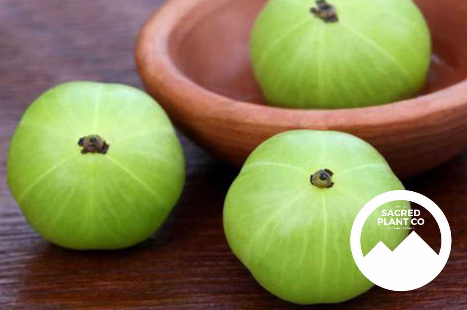 Close-up of fresh green Amla Fruit from Sacred Plant Co in a wooden bowl, highlighting vibrant color, smooth texture, and natural lighting against a wooden surface.
