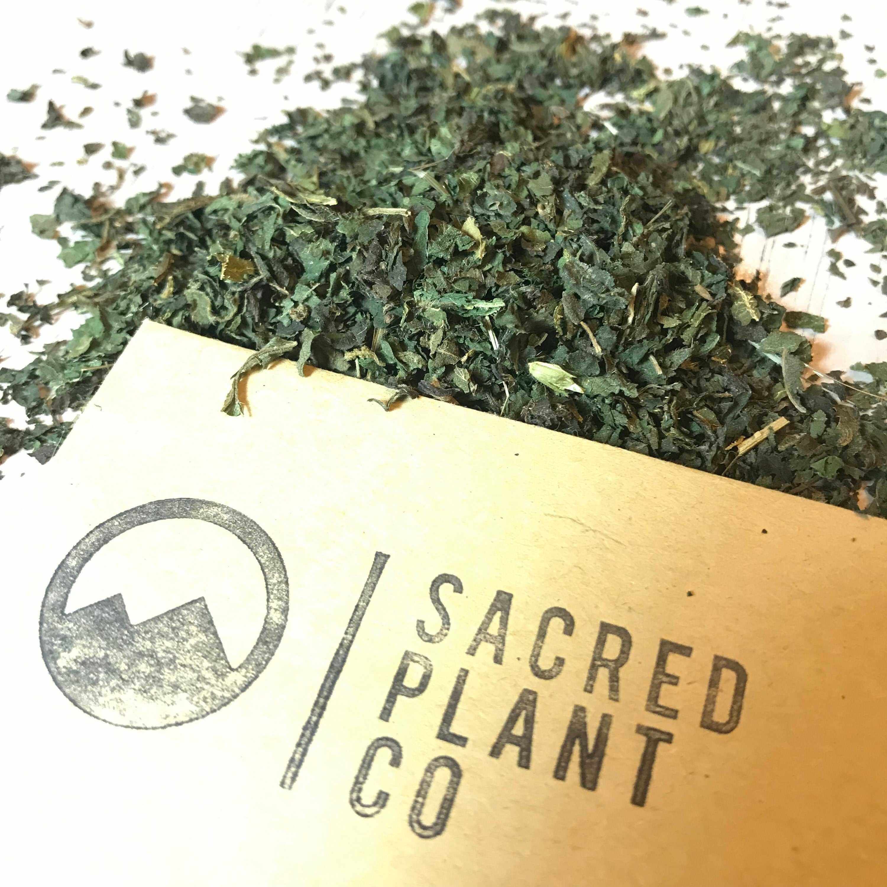 Stinging Nettle Leaf Bulk - Premium Quality Dried Urtica Dioica Leaves - Sacred Plant Co Bulk Herbs Most Sought After Herbs Sacred Plant Co