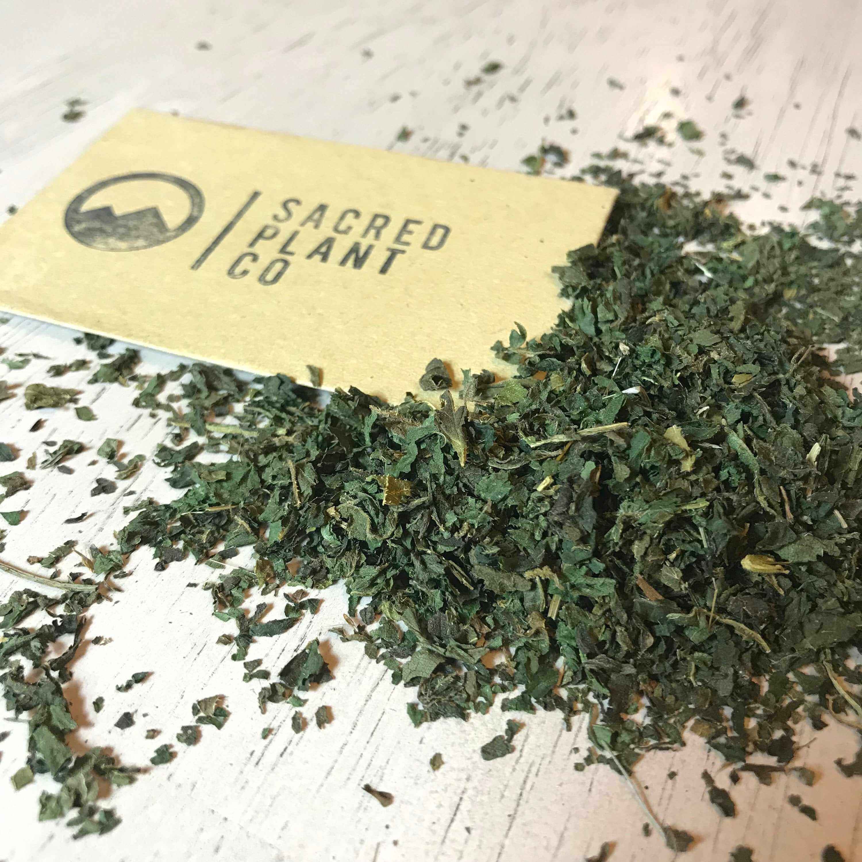 Close-up of loose dried stinging nettle leaves scattered on a white wooden surface, with a business card for Sacred Plant Co placed on top. The card features the company&