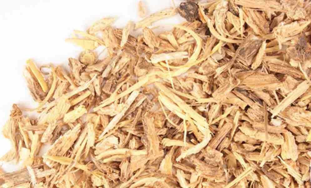 Chopped Angelica Root Herb with light brown color on a white background, highlighting the premium quality of Sacred Plant Co&