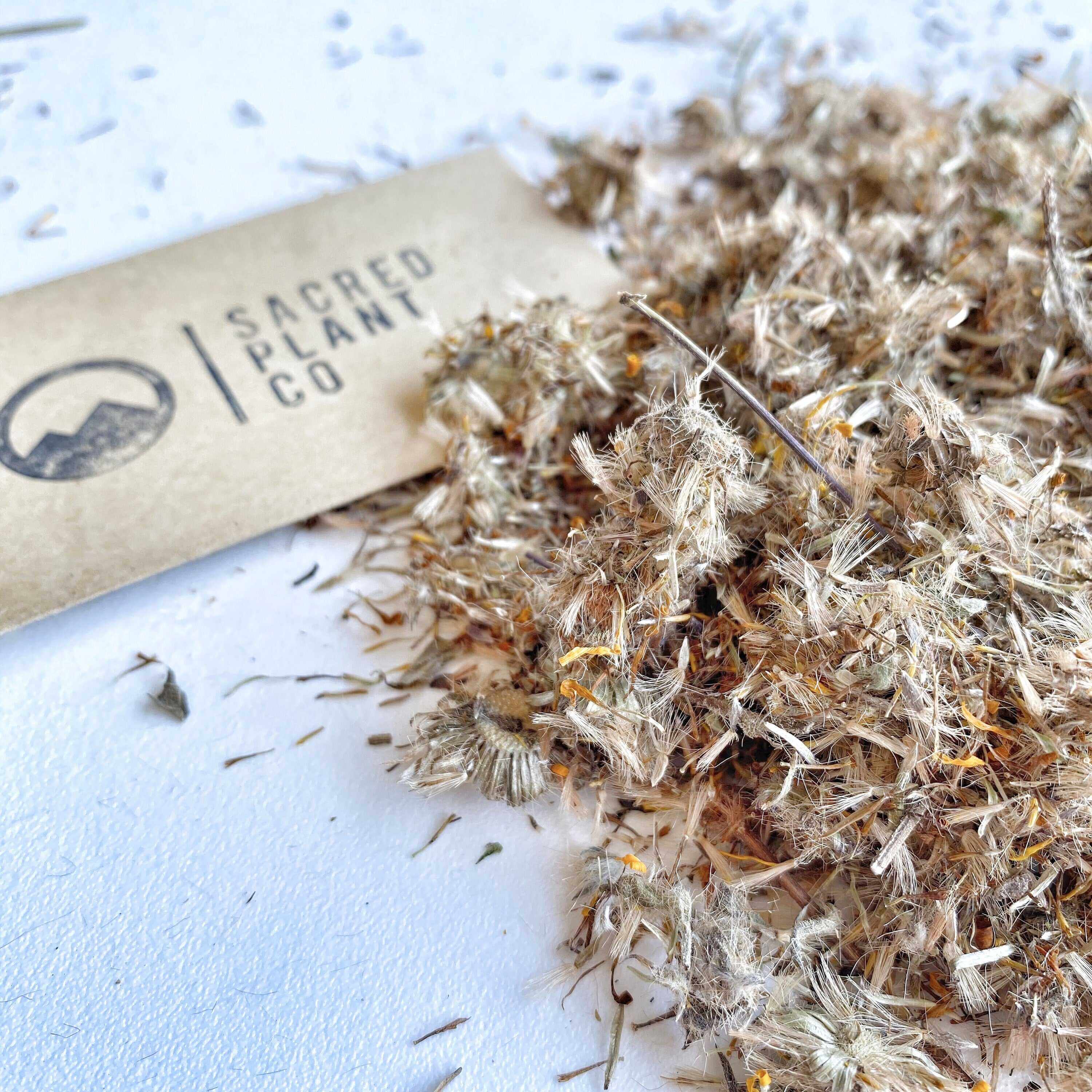 Close up of Sacred Plant Co’s dried Arnica Flowers bulk, gently lit with natural light, displaying their fine, airy texture and healing properties.