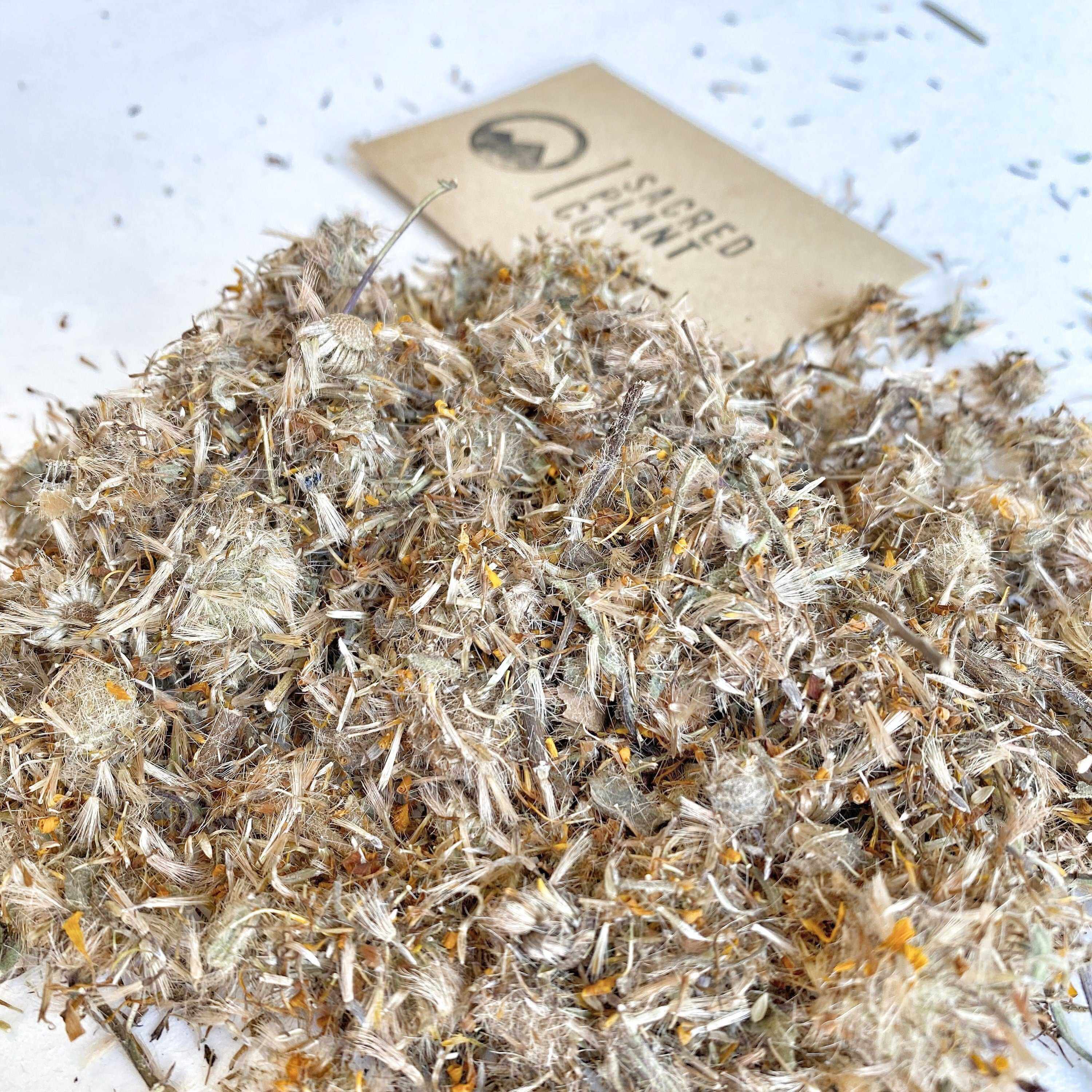 Sacred Plant Co Arnica Flowers with soft, lightweight texture and vibrant color, scattered for an aesthetic natural appeal, highlighting their premium quality and common use in natural salves and ointments for pain relief.