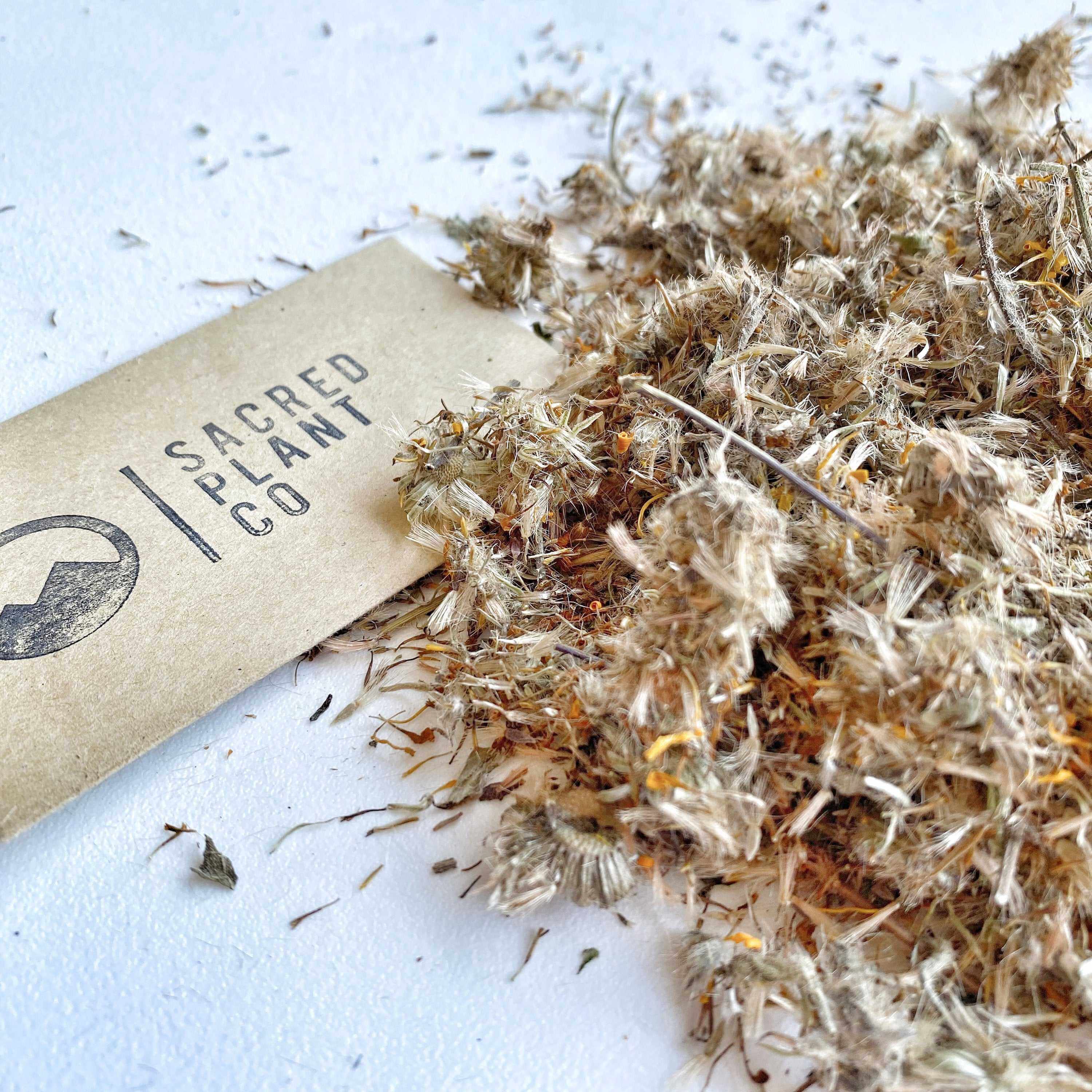 Sacred Plant Co’s premium-quality Arnica Flowers in shades of golden yellow and white, displaying soft, airy texture, renowned for their use in topical remedies to soothe soreness and inflammation naturally.