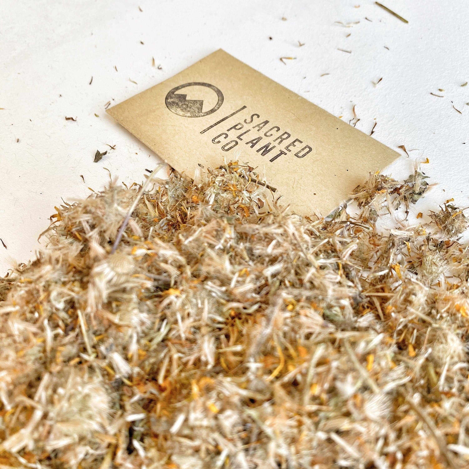 Sacred Plant Co’s dried Arnica Flowers, gently lit with natural light, displaying their fine, airy texture and healing properties, on a white flat surface.