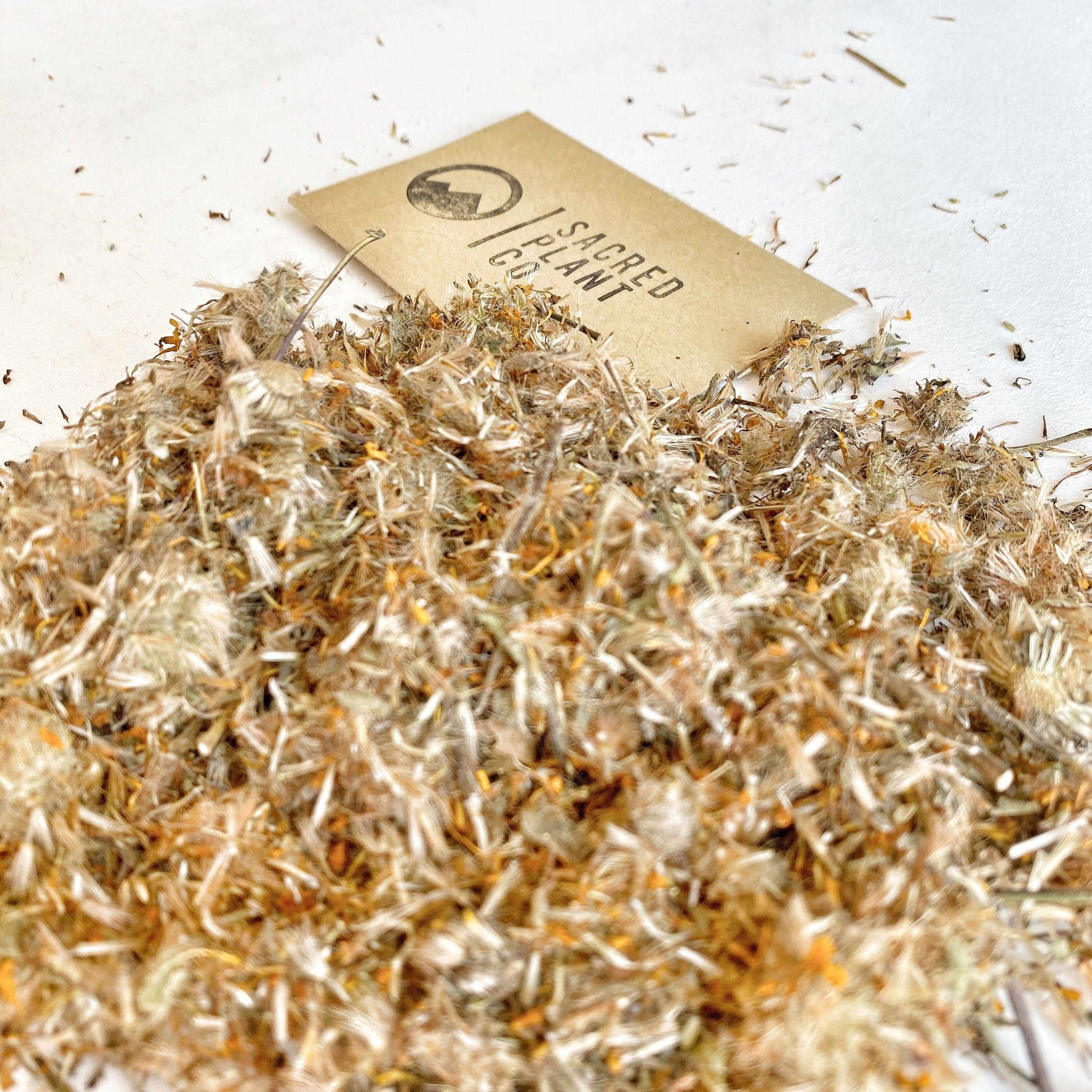 Brightly lit Sacred Plant Co Arnica Flowers on a white surface, highlighting their lightweight, fluffy texture and top-quality product.