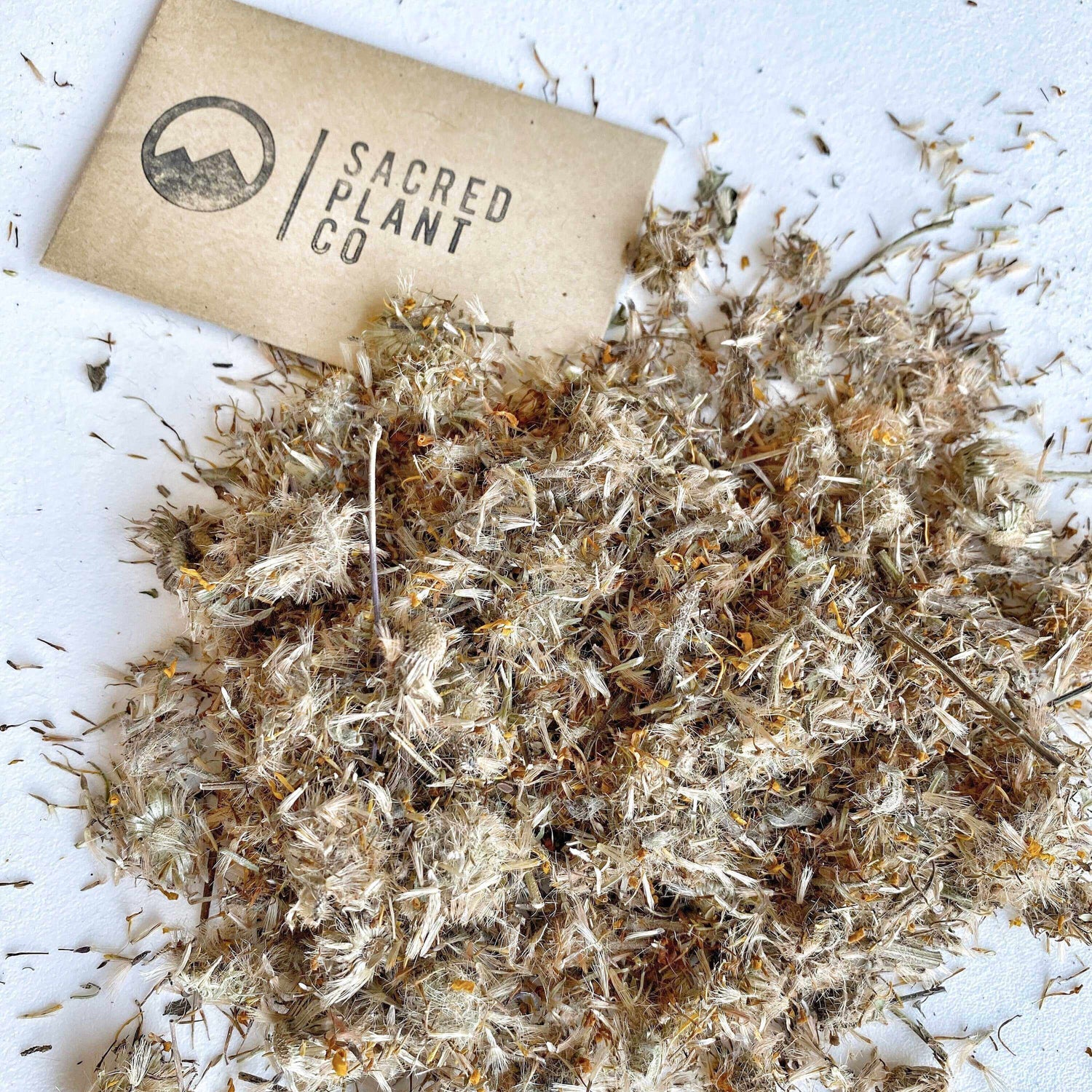 Sacred Plant Co Arnica flowers under natural bright light, showcasing their soft, fluffy texture and premium quality.