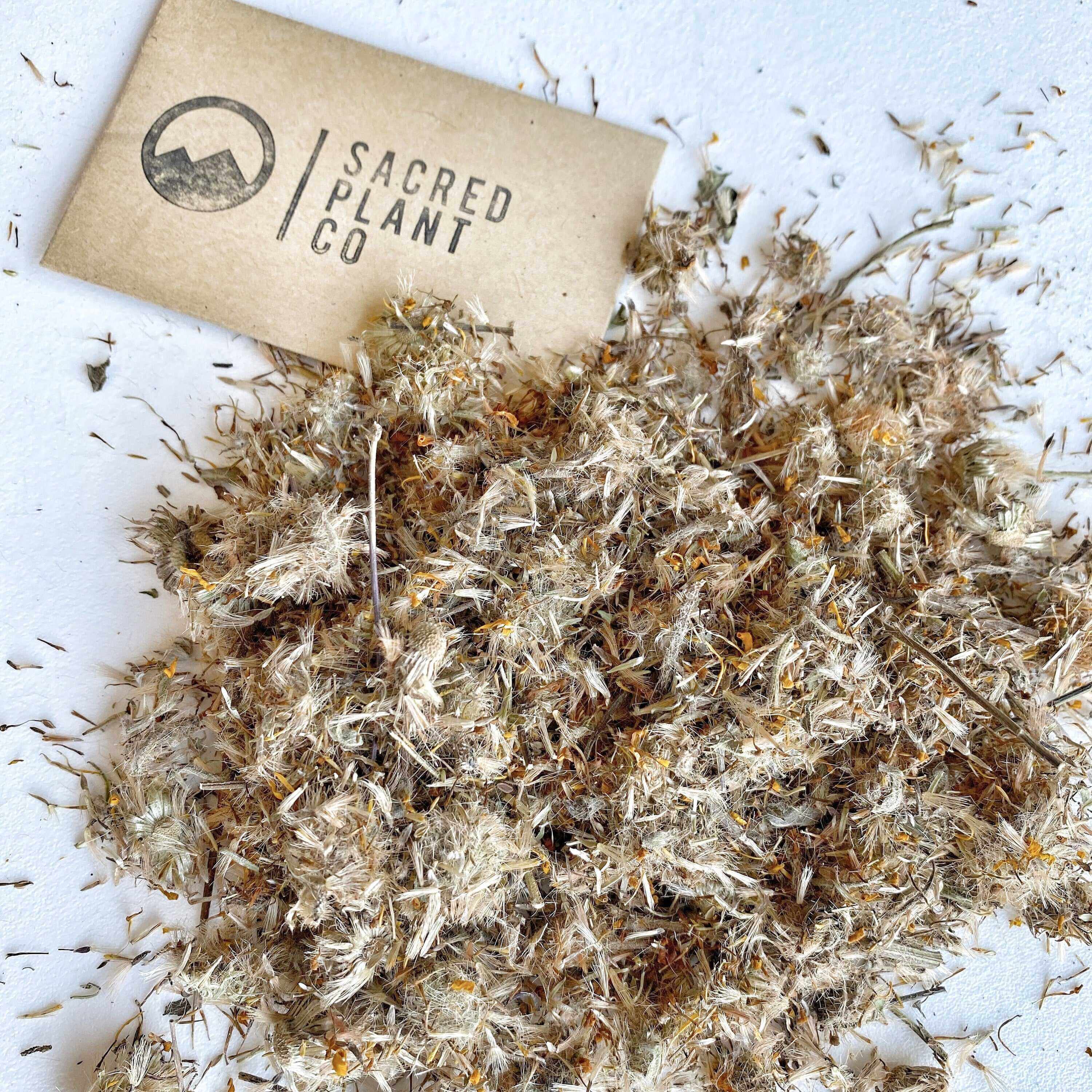 Sacred Plant Co Arnica flowers under natural bright light, showcasing their soft, fluffy texture and premium quality.