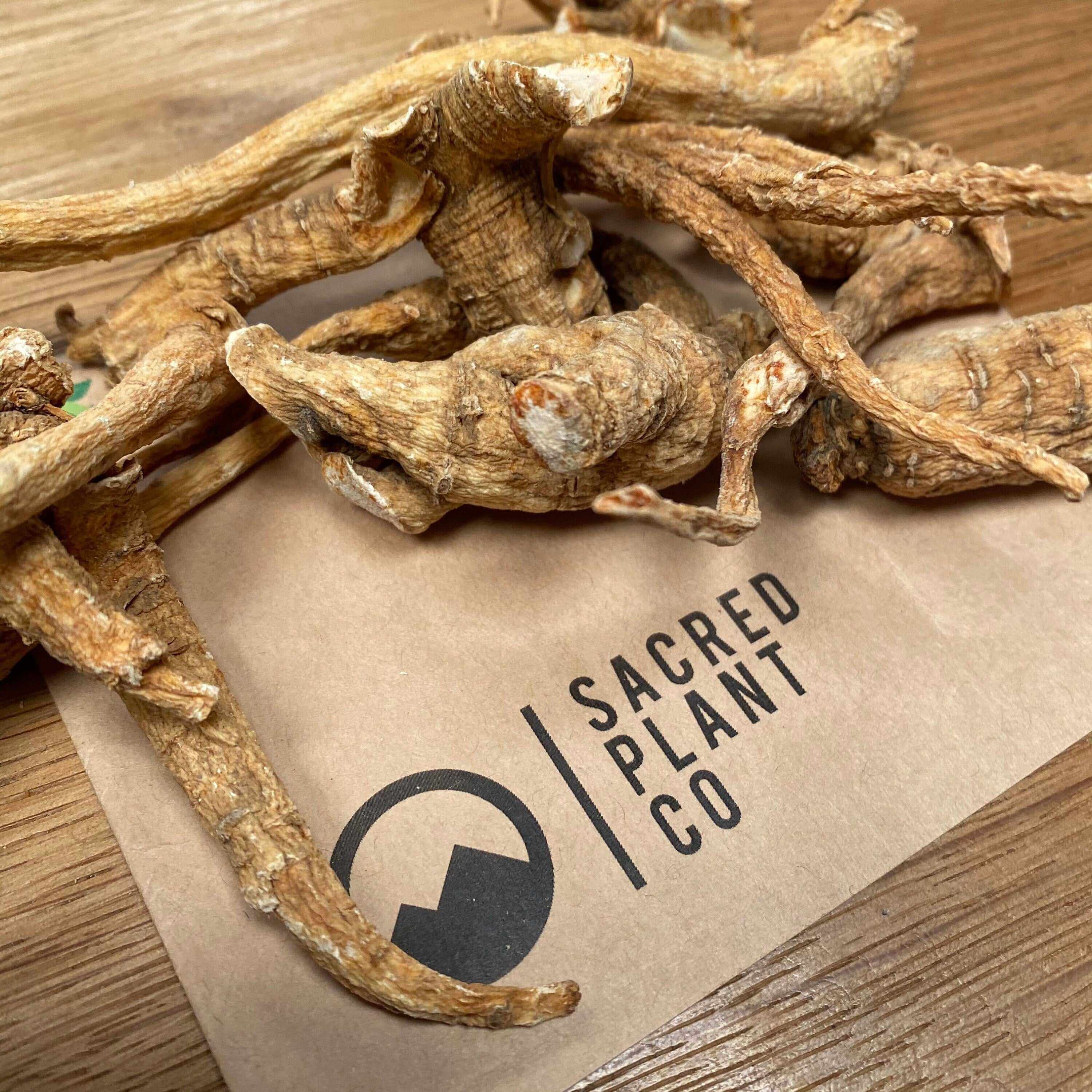 Dried American Ginseng Root scattered on Sacred Plant Co-branded packaging, highlighting organic texture and wellness benefits.