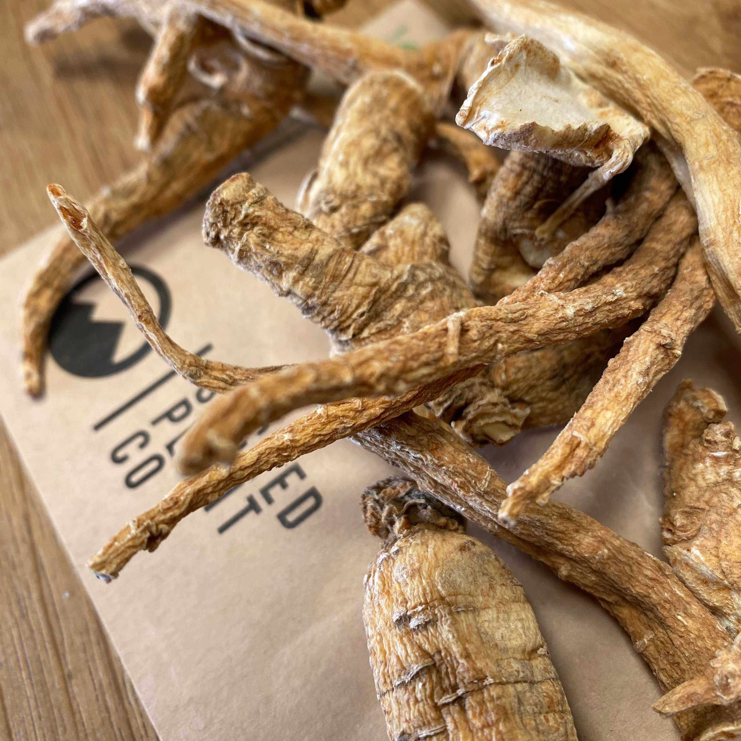 Close-up of premium American Ginseng Root displayed on Sacred Plant Co sustainable brand packaging, perfect for energy and vitality.