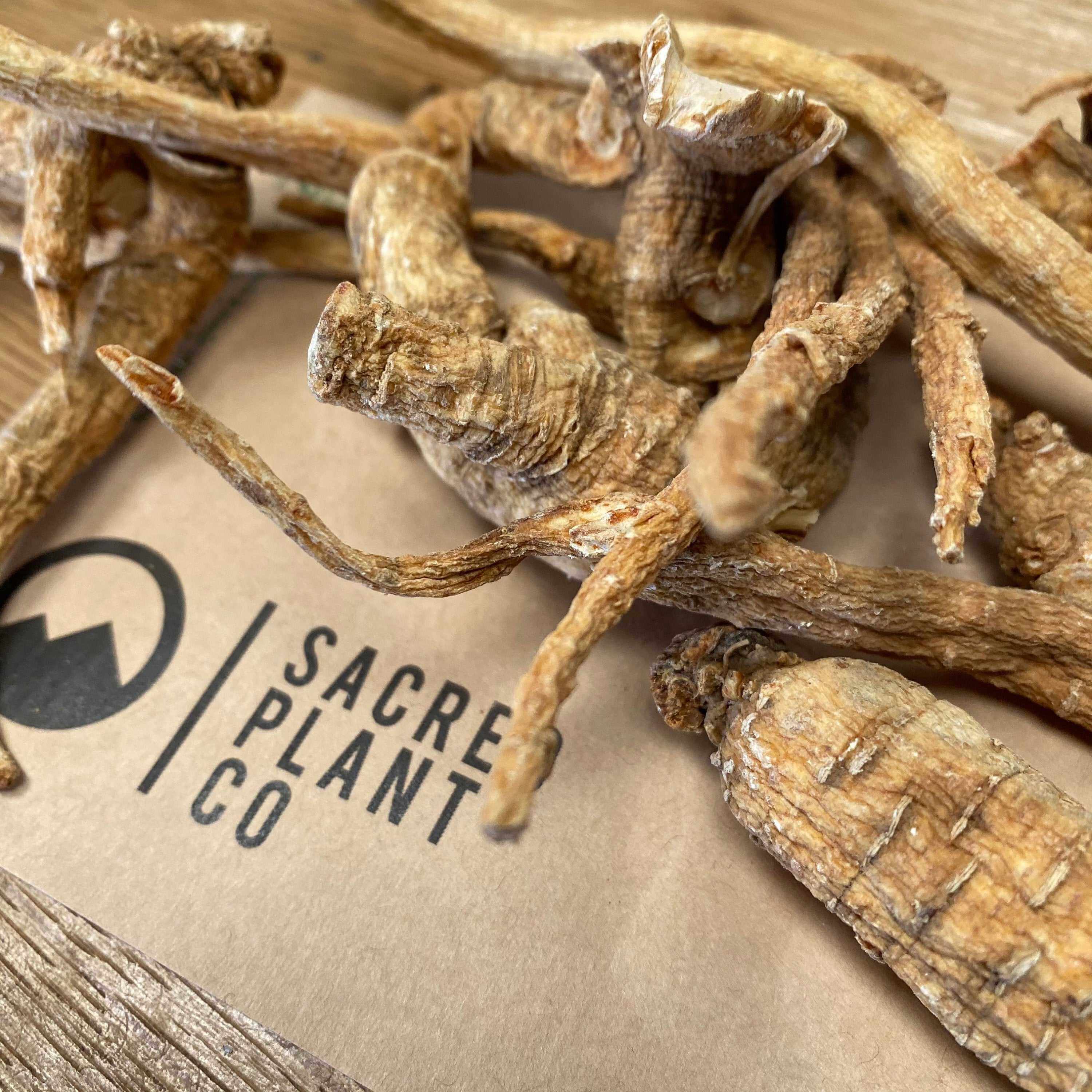 Premium American Ginseng Root from Sacred Plant Co displayed on eco-friendly packaging, highlighting natural brown texture and quality.