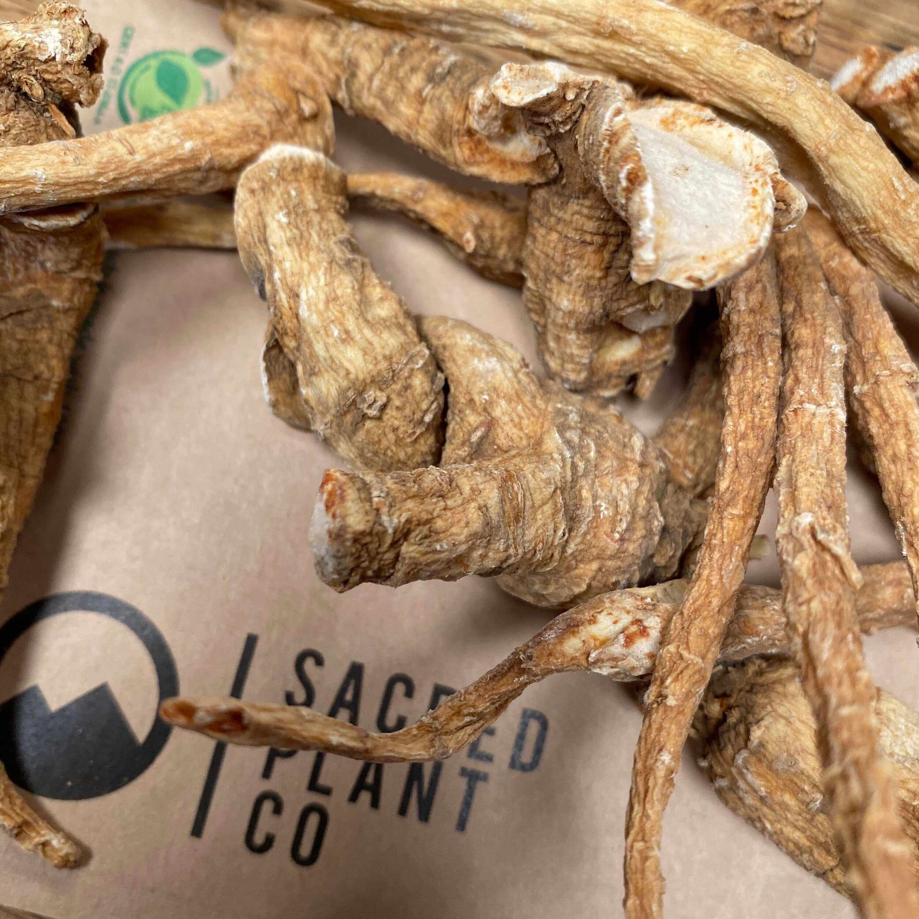 Raw, dried American Ginseng Root on Sacred Plant Co packaging, emphasizing sustainability and premium herbal quality.