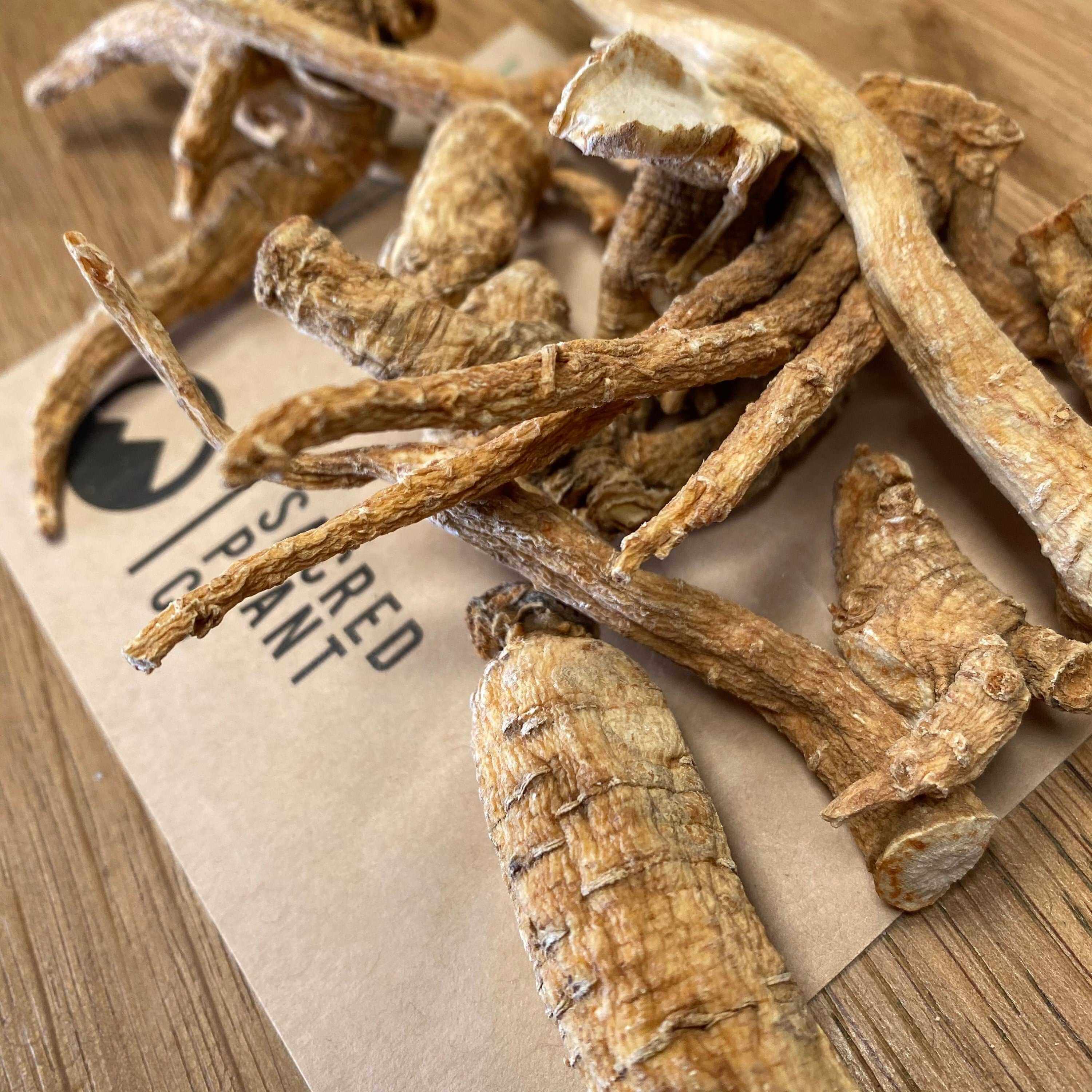 Bundles of American Ginseng Root with Sacred Plant Co logo, showing rugged texture and eco-friendly branding on light surface.