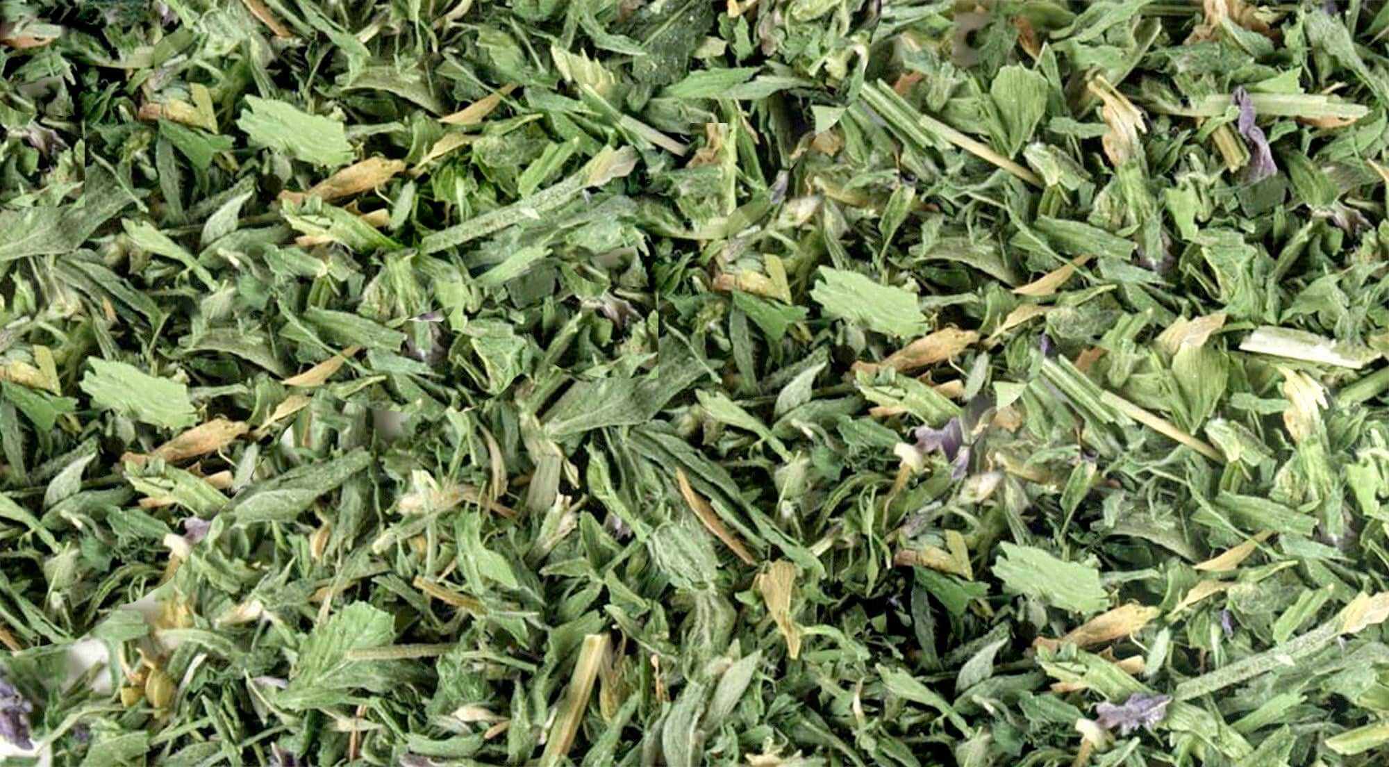 Close-up of finely shredded, vibrant green Alfalfa Leaf Herbs with a crisp texture, highlighting Sacred Plant Co’s premium quality.