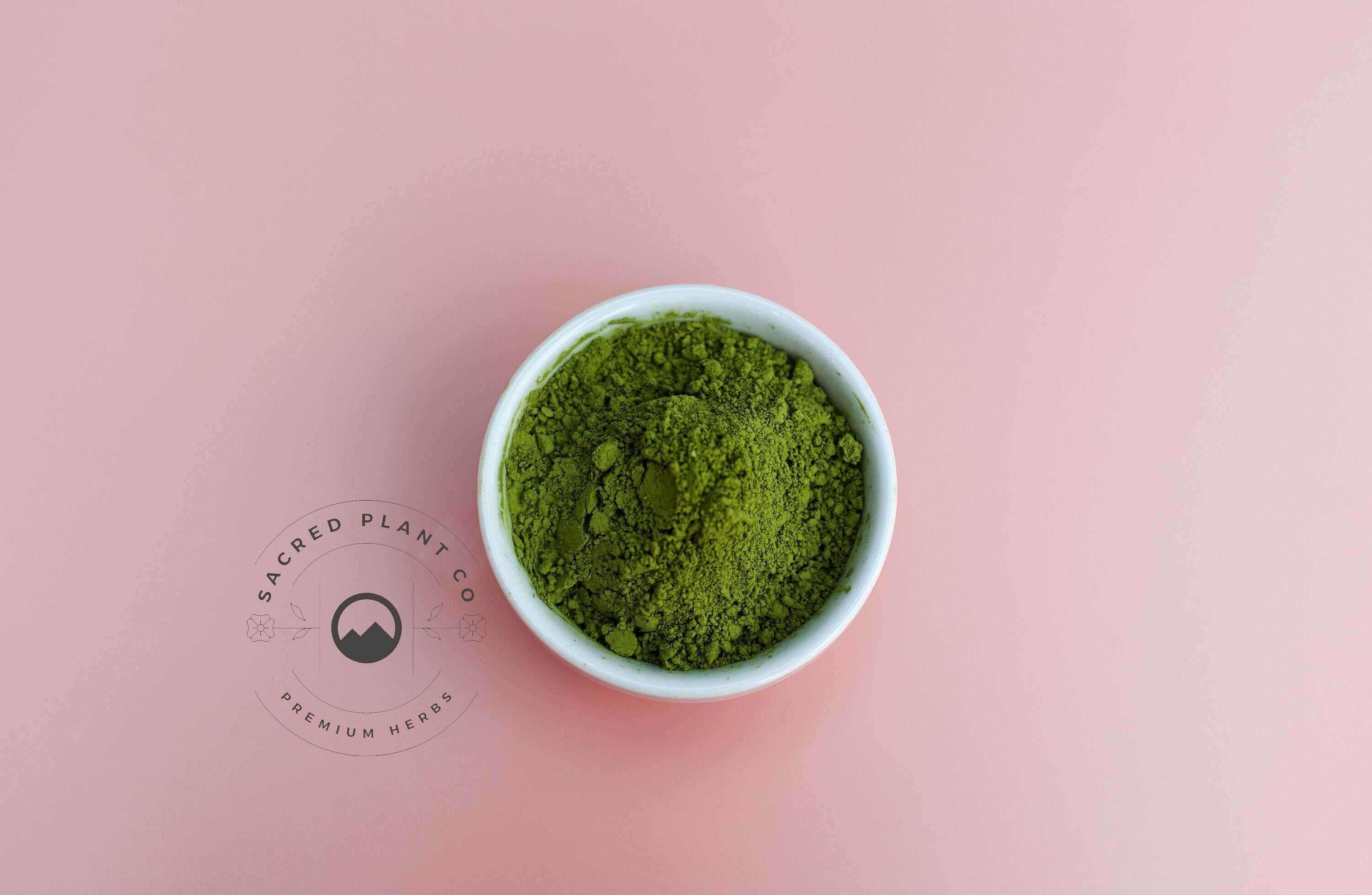 Sacred Plant Co high quality Alfalfa Herb Powder in a small bowl, vibrant green powder on a soft pink backdrop, perfect for natural remedies.