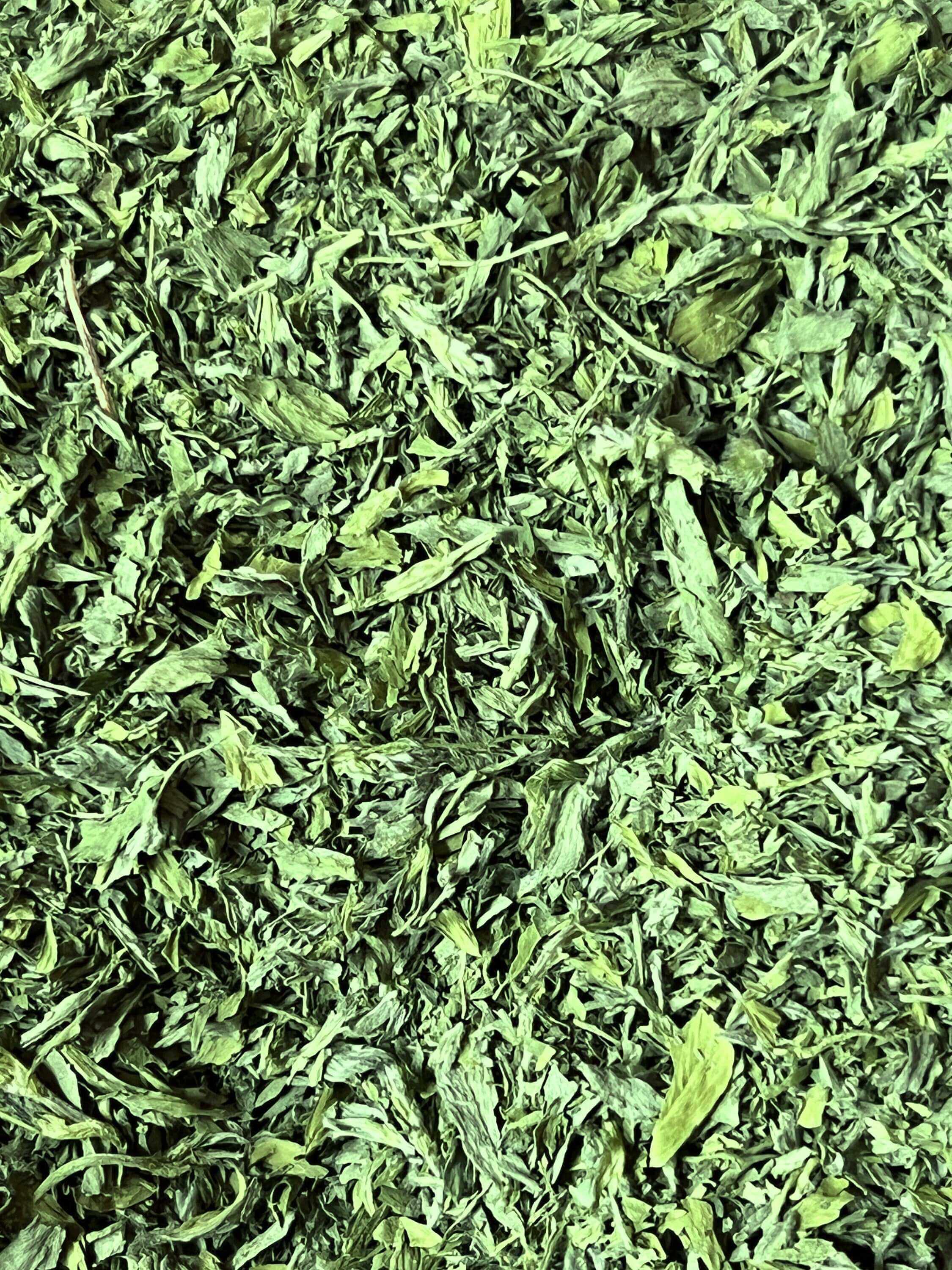 Dried, leafy Alfalfa Herbs in varying shades of green with a soft, flaky texture, showcasing Sacred Plant Co’s superior herbal products.